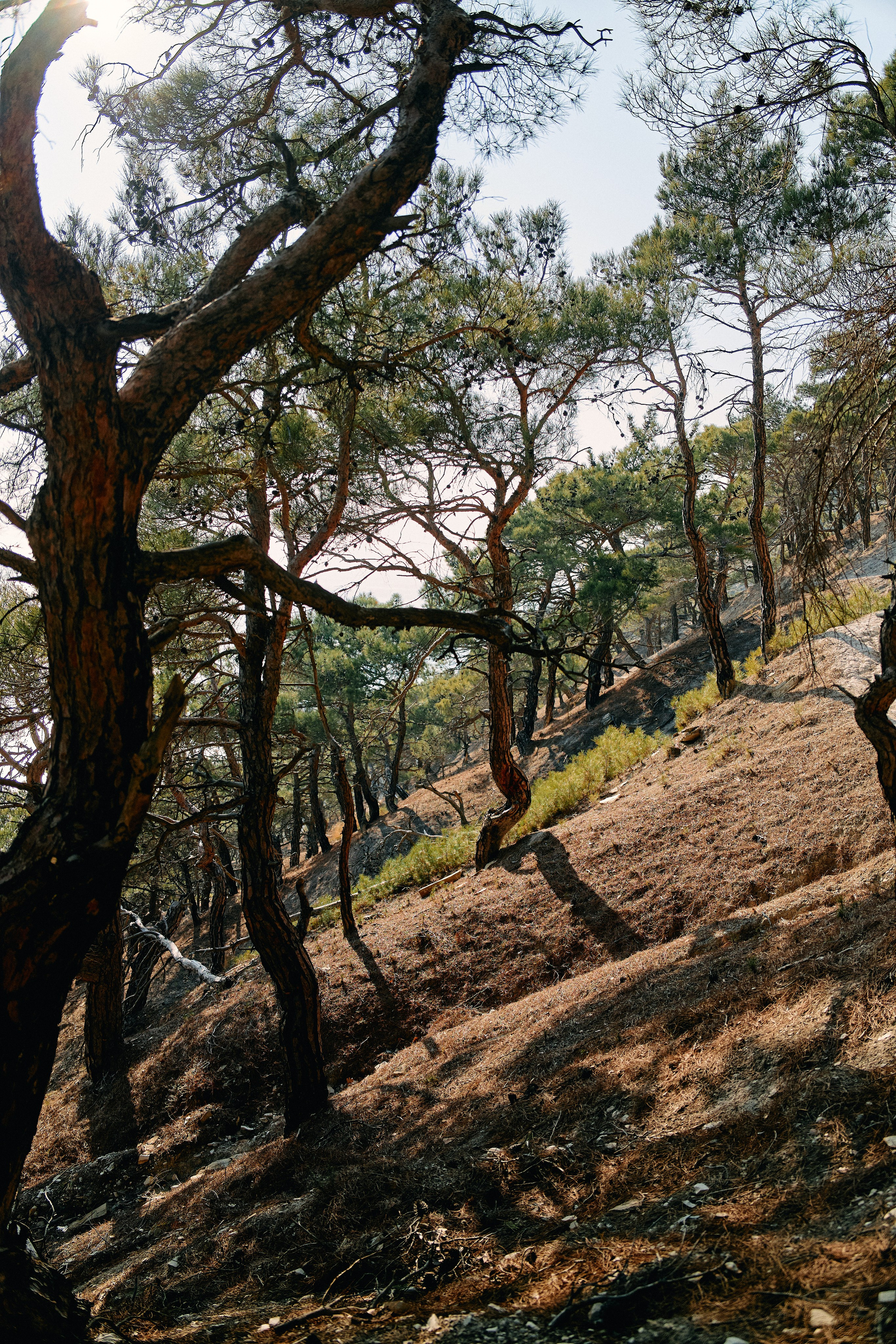Юг России. Профессиональный Фотограф во Владимире, в Москве и в Суздале — Полина Романычева