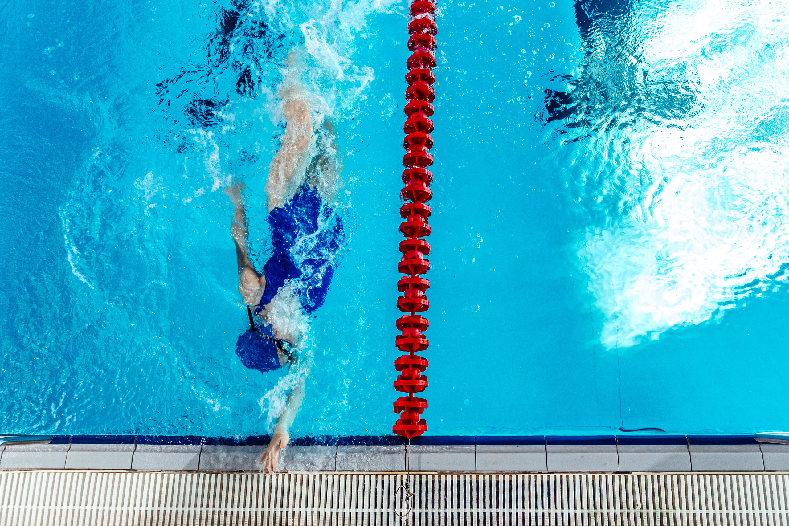 Школа плавания «Виктория». Свадебный фотограф в Краснодаре Николай Крауз