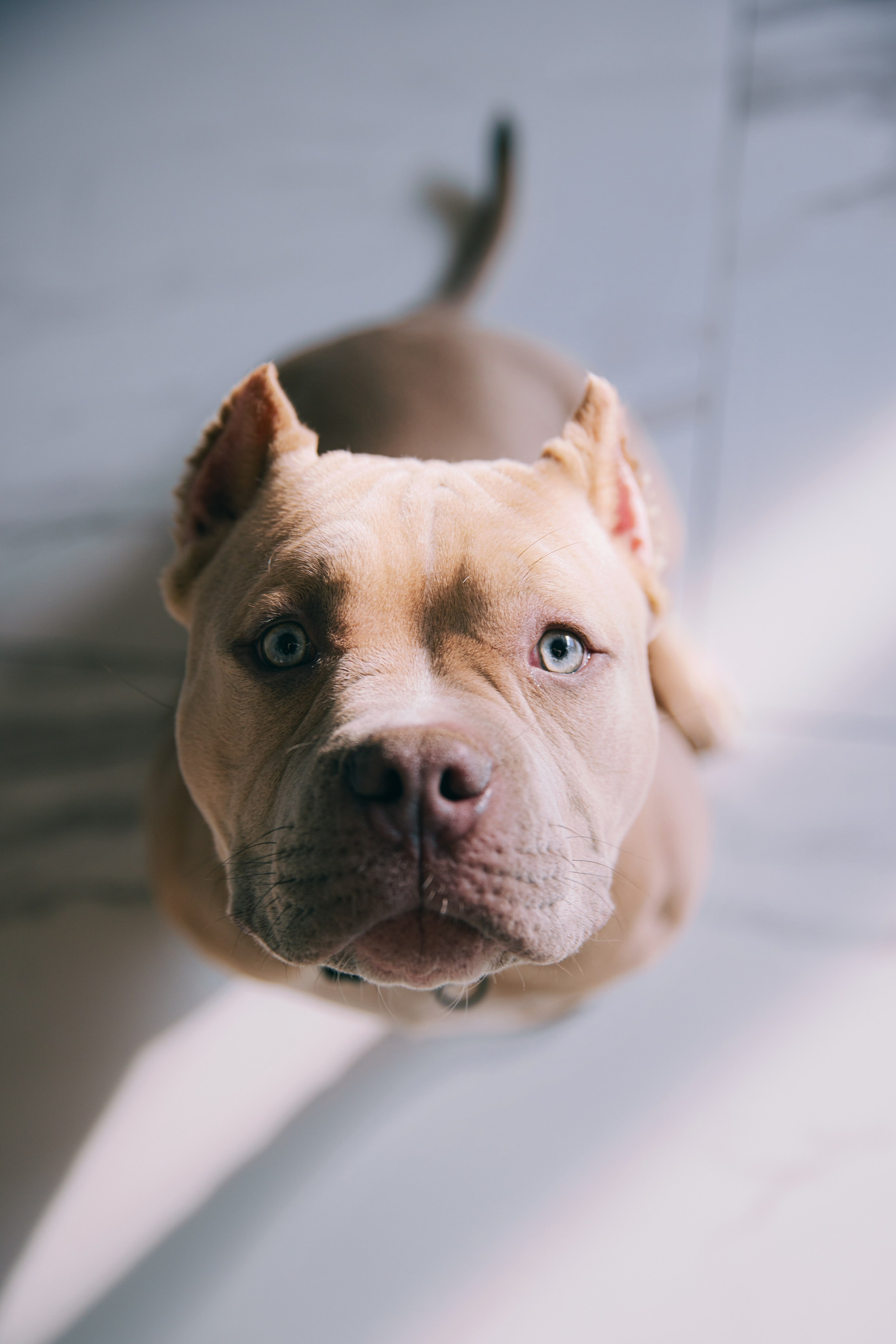 Злата|Александр|ЗЕВС. Фотограф Москва Шептаев Артём