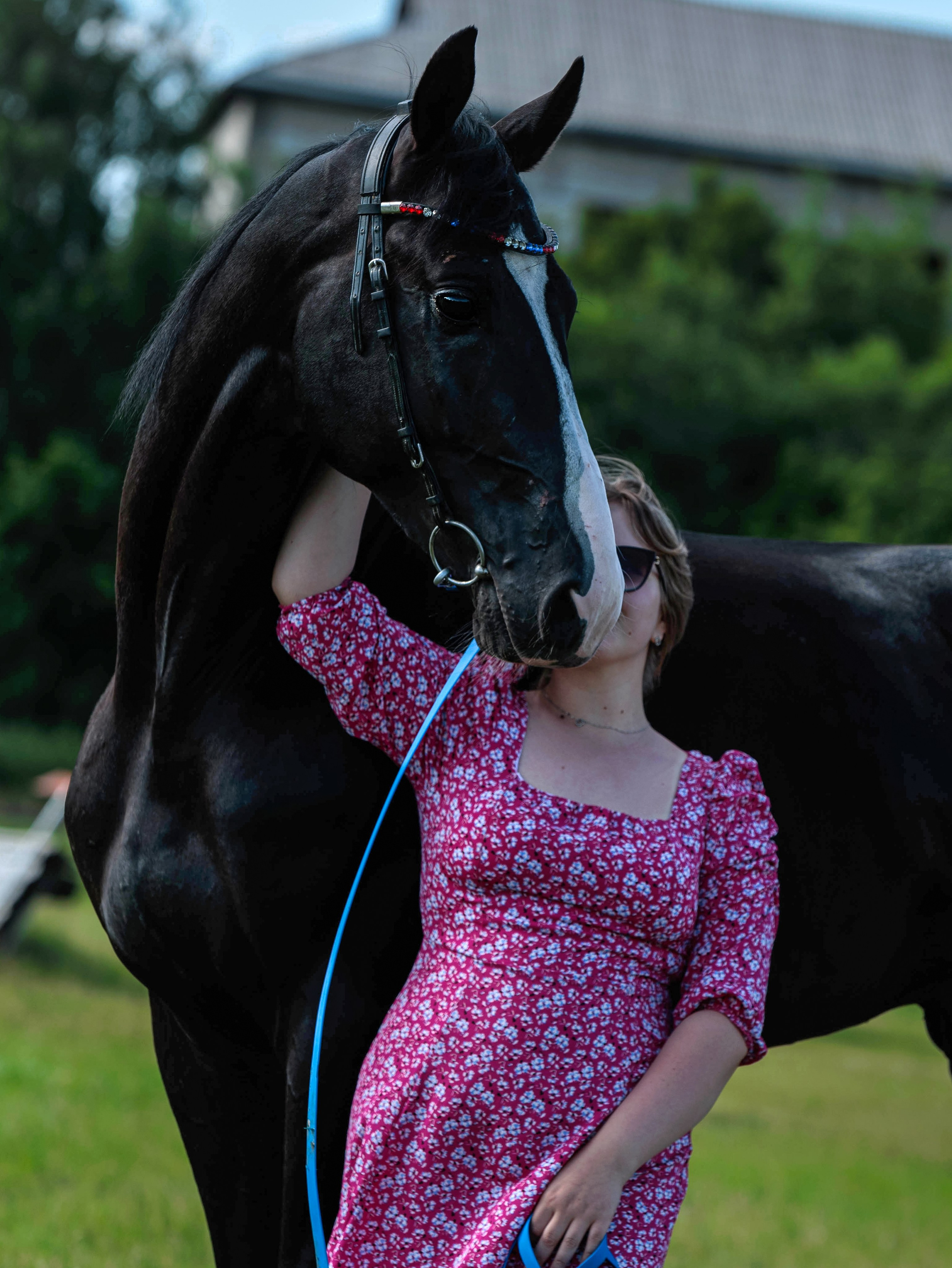 2025. Конный фотограф в Красноярске — Любовь Похабова