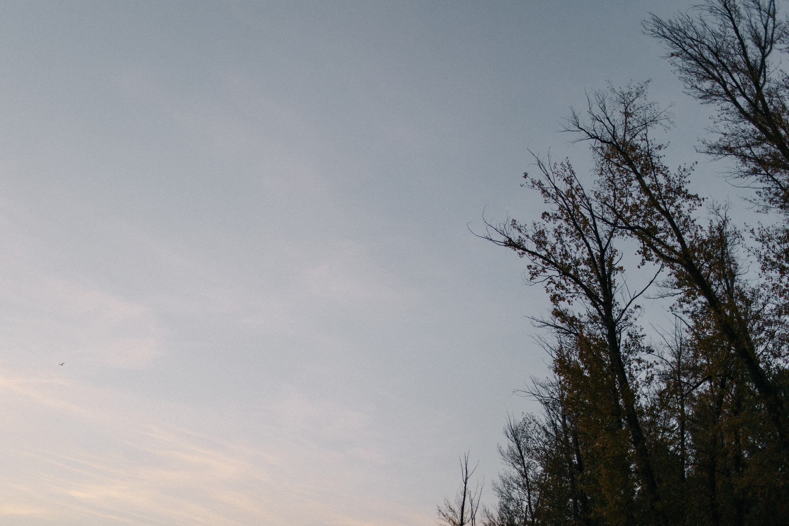 Дыхание осени. Свадебный и семейный фотограф в Самаре Посконнова Анна