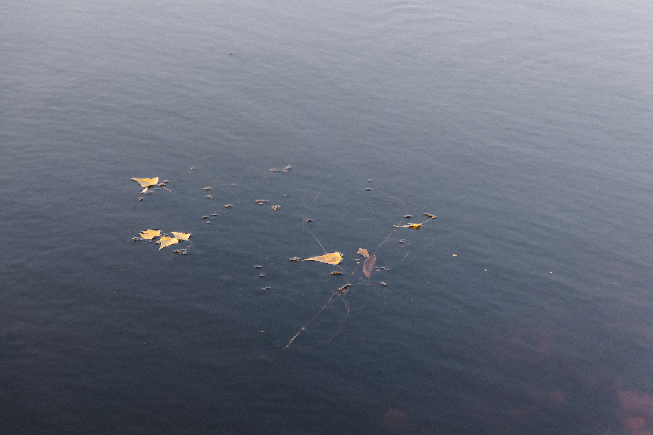 Дыхание осени. Свадебный и семейный фотограф в Самаре Посконнова Анна