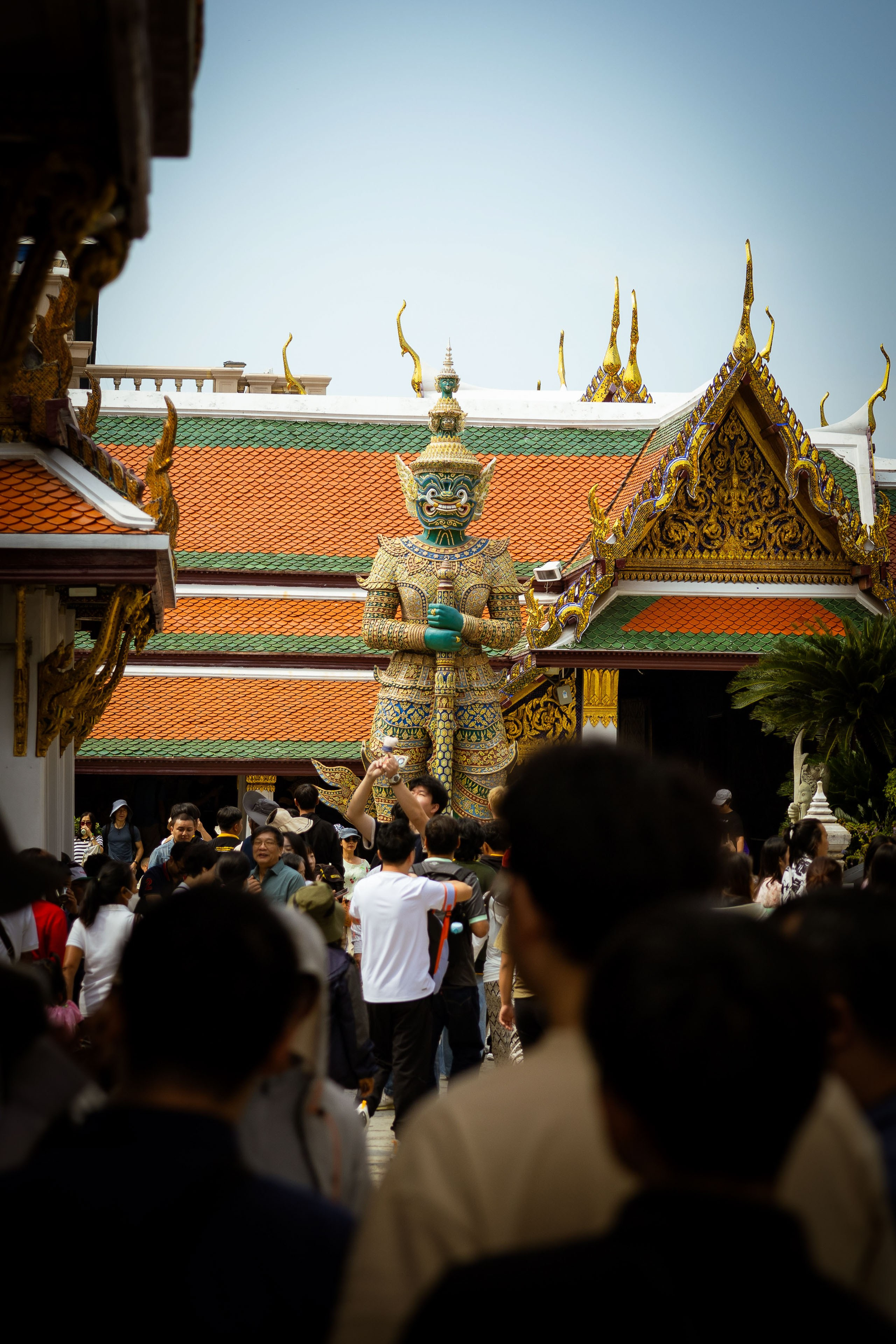 Таиланд (зима 2025). Фотограф Виноградов Константин