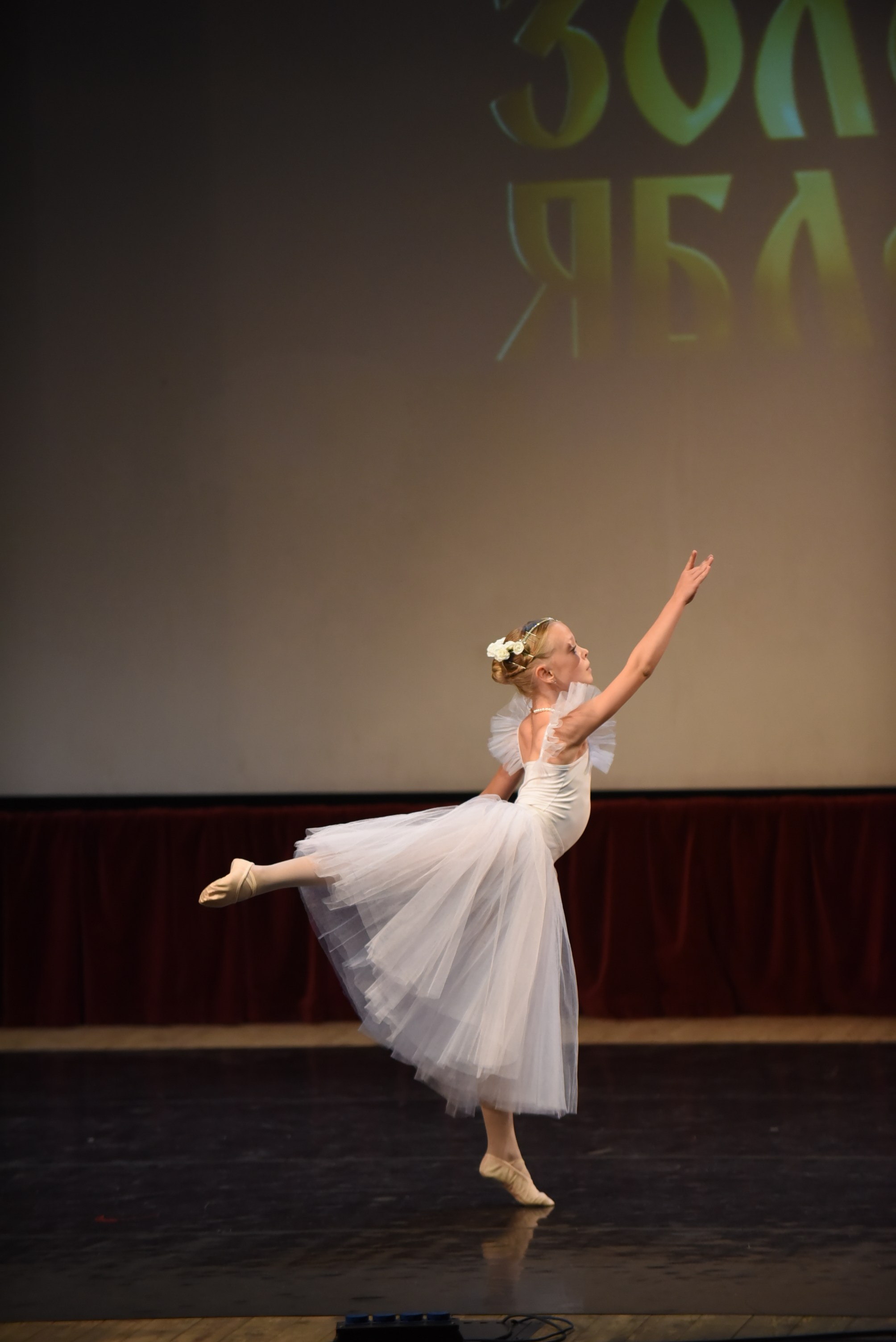 17 ноября, 3 блок, г. Москва. Золотое яблочко