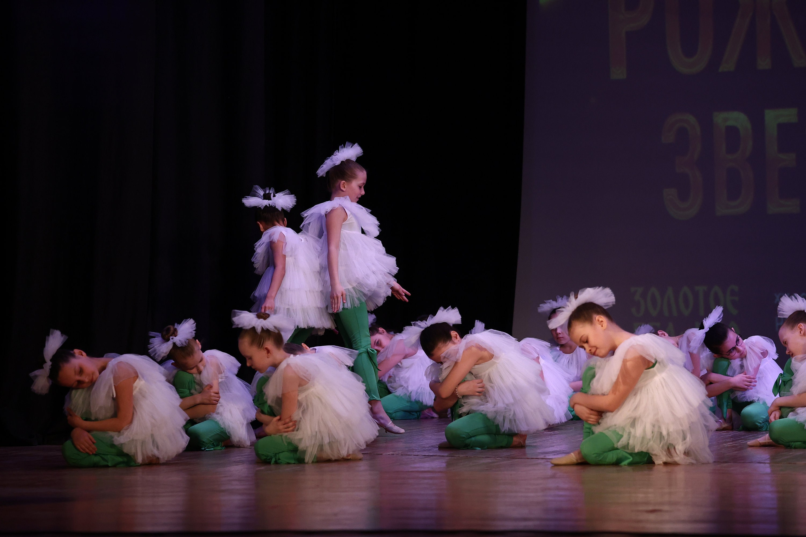 30 марта, г. Самара. Золотое яблочко