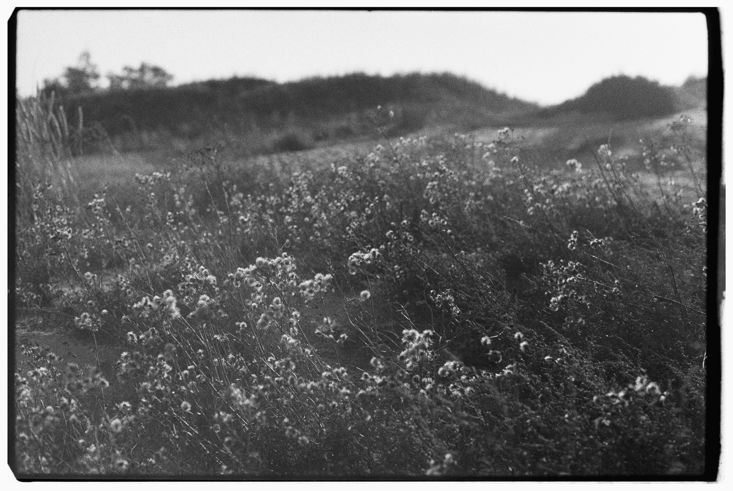 Калининград. Портретный фотограф Софья Хворостова