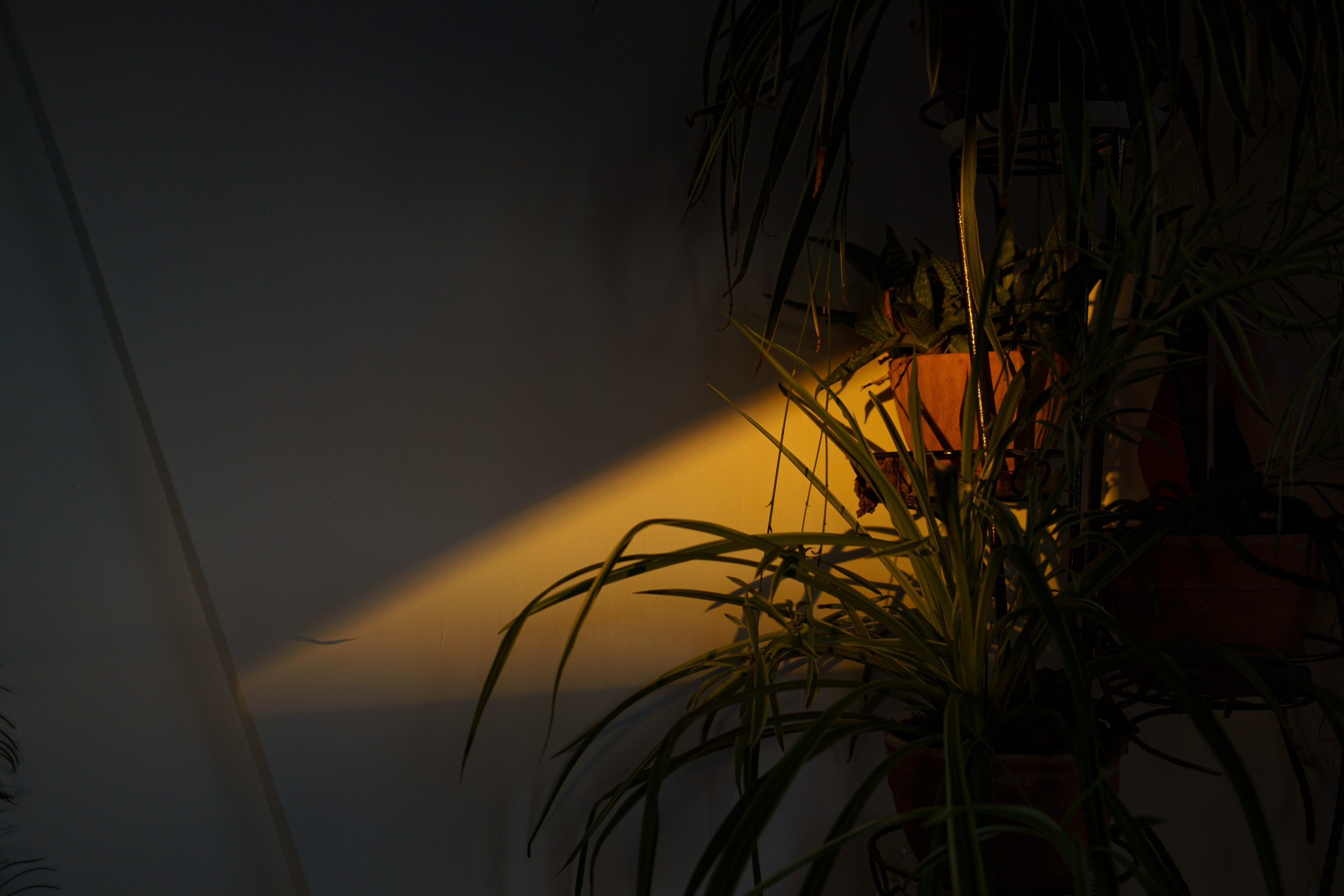 Визуальные заметки. Руслан Кирсанов — фотограф