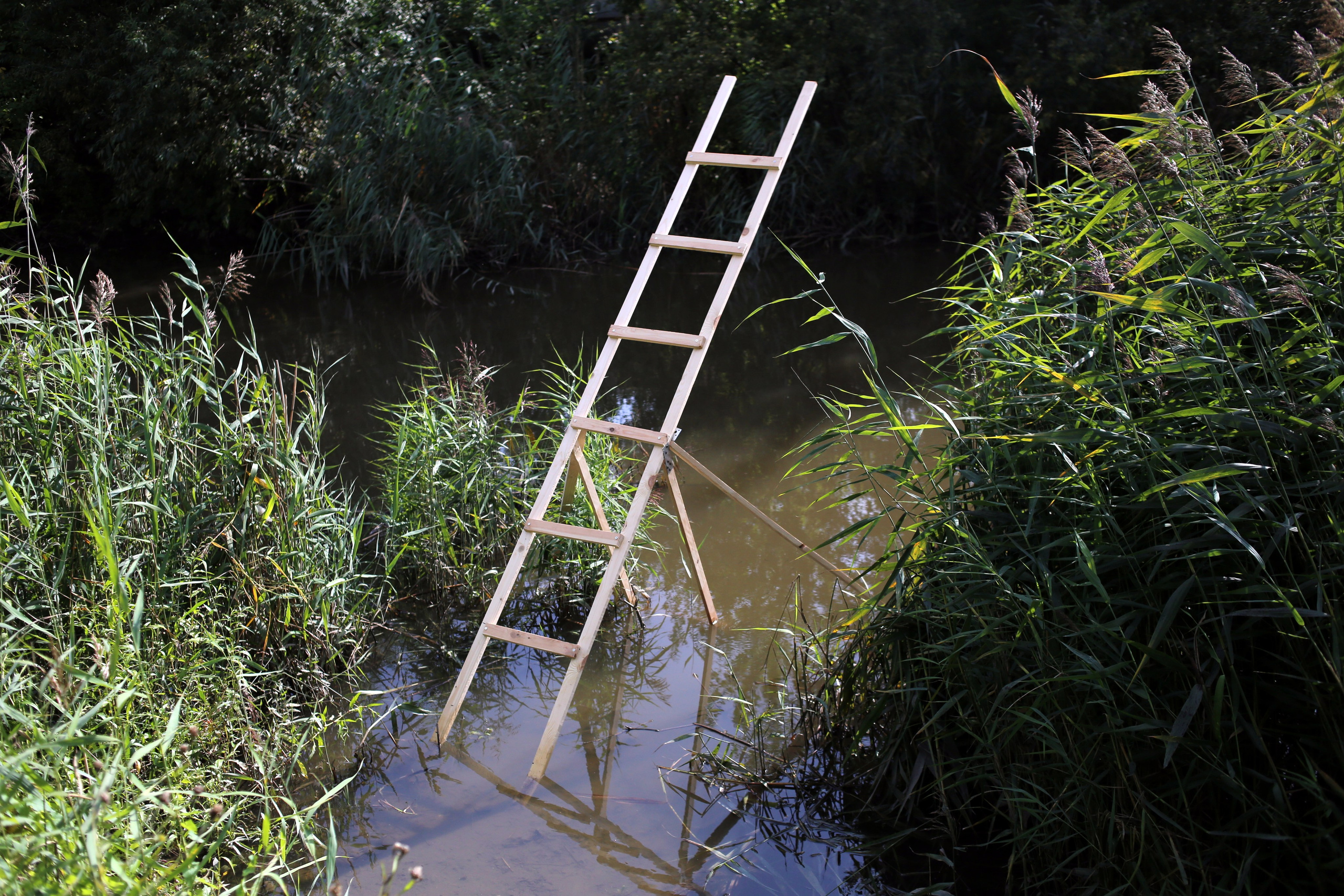 Красненькая антибиеннале 2024 (СПБ)