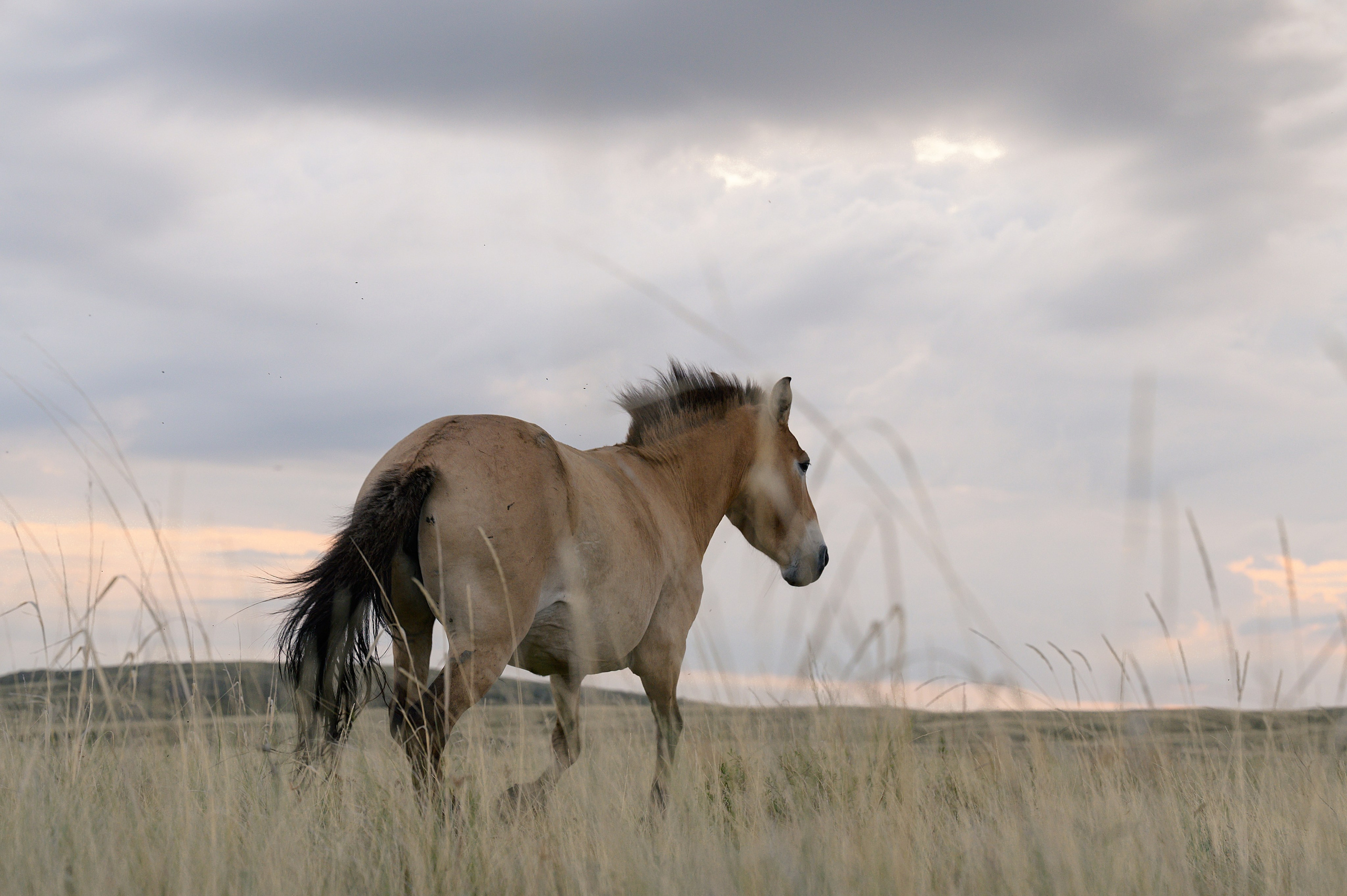 Оренбуржье. Портретный фотограф в Челябинске Катерина Руди