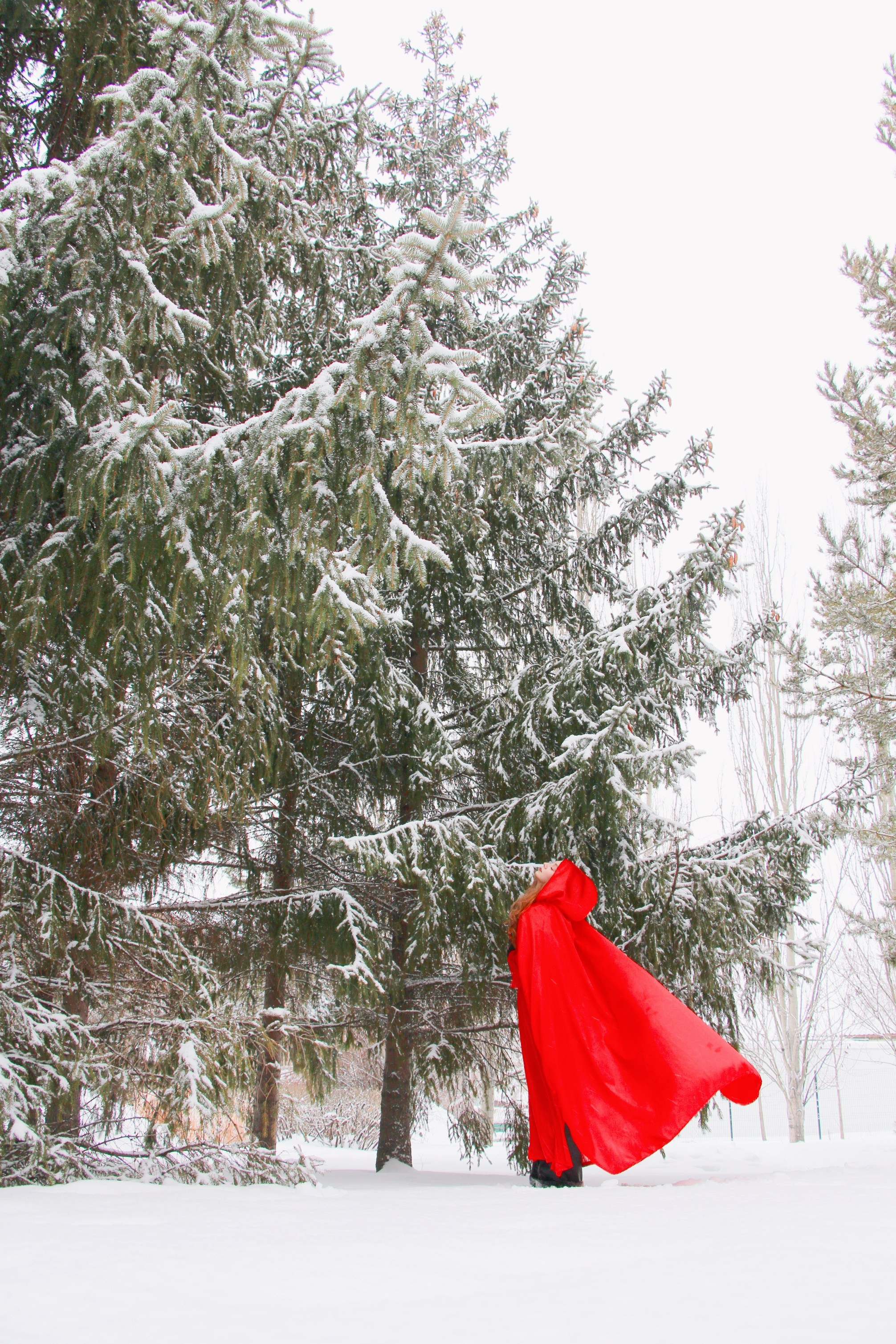 Прогулка Александры в снежном лесу…. Творческая, семейная Фотосъемка ДоброДарова Елена Омск