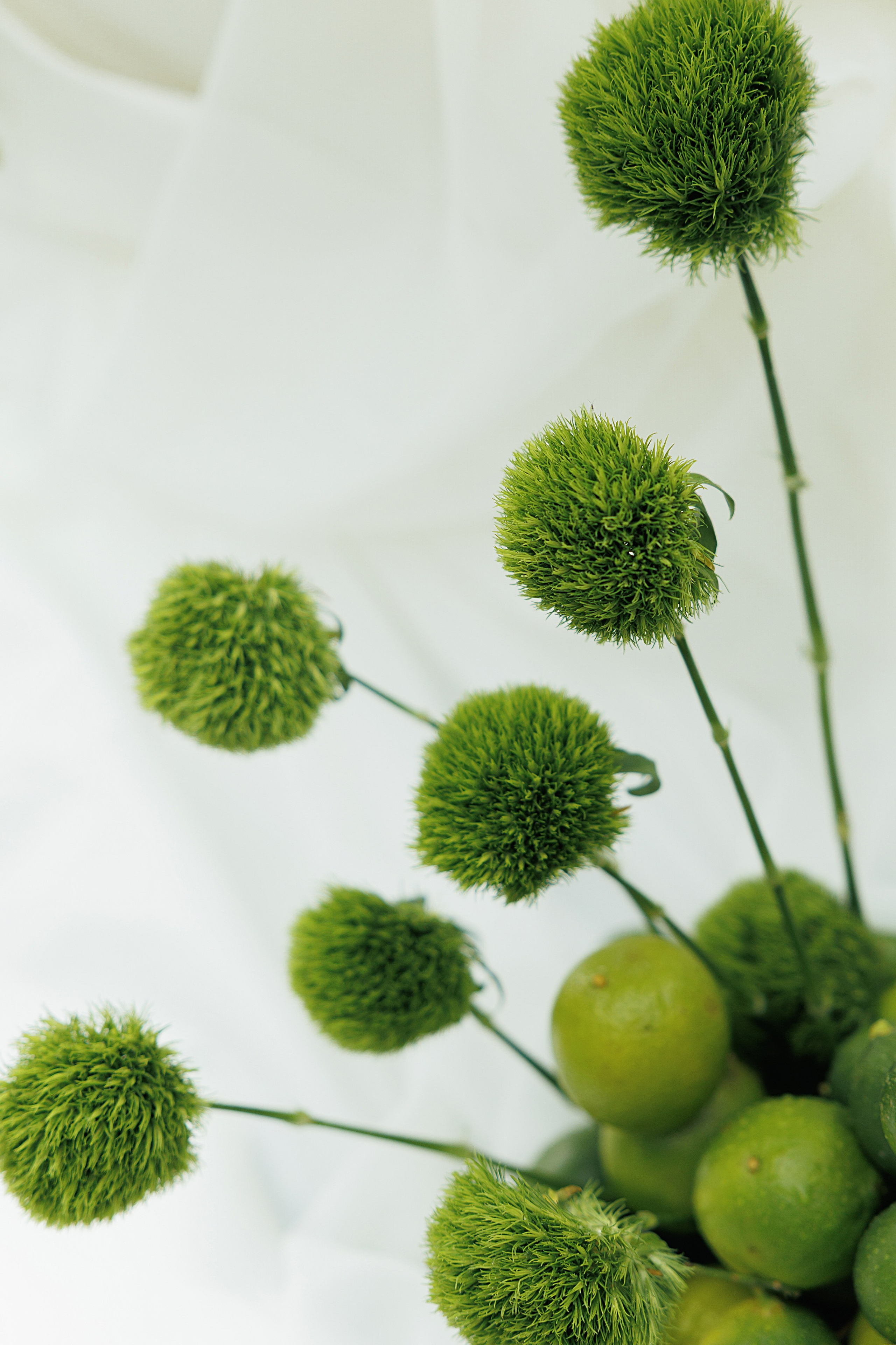 Дмитрий и Мирослава. Свадебное агентство «LUKHMANOVA.Weddings&Events»