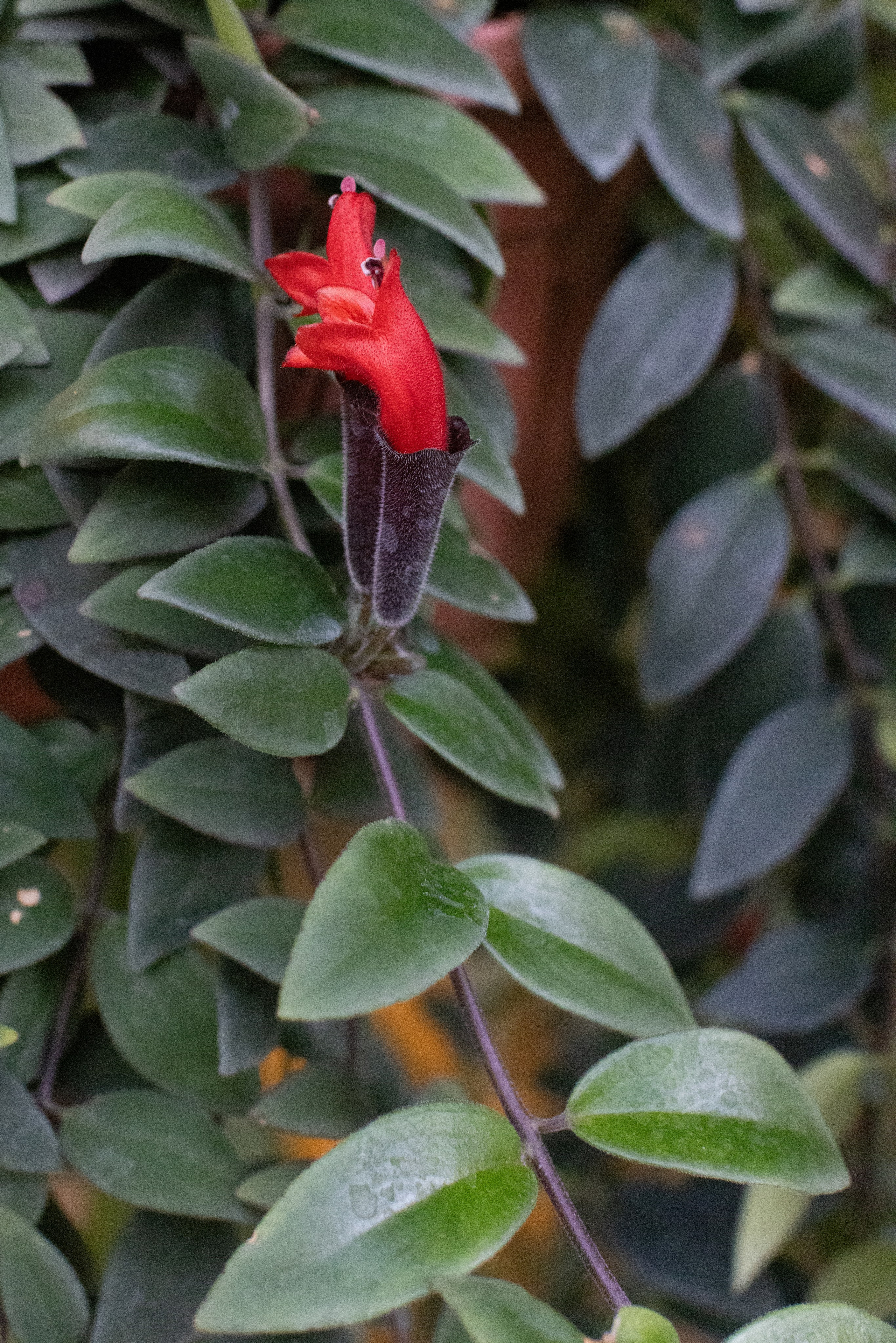 Фото Москвы. Студия Максима Белослюдцева