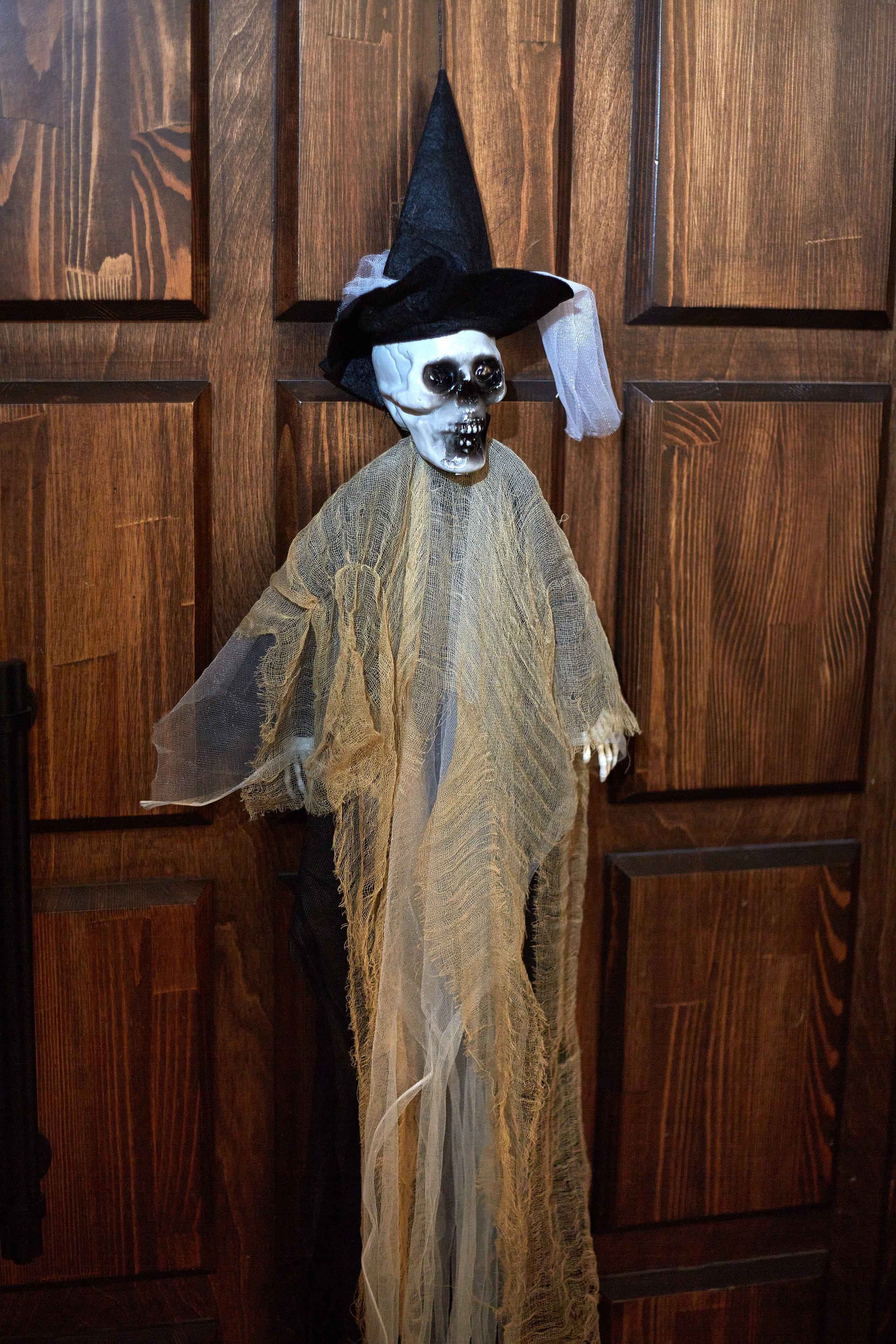 2023-10-20. Risan. Kolokol