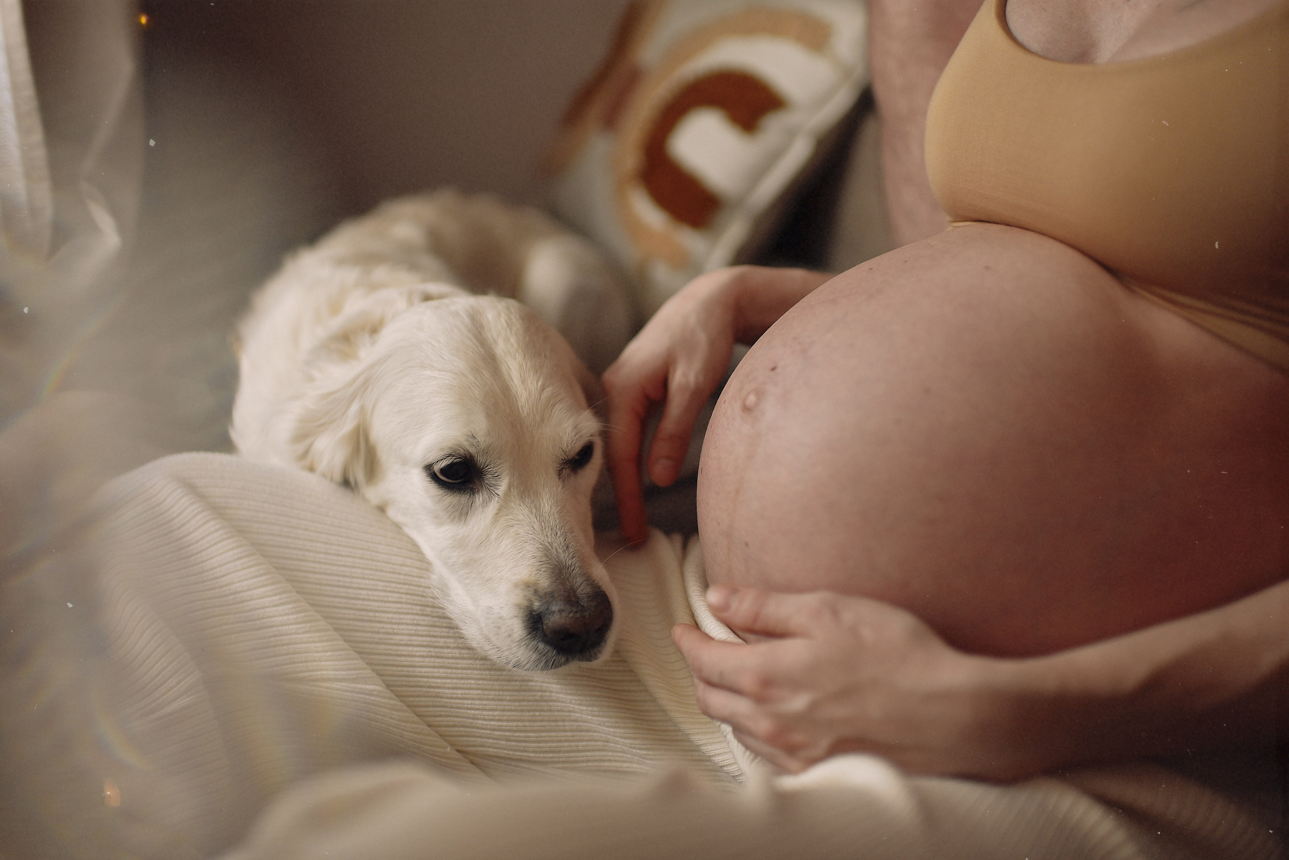 МАРГО, САША и ШАНТИ | скоро нас станет больше. Свадебный и семейный фотограф РИТА БОЧКАРЁВА