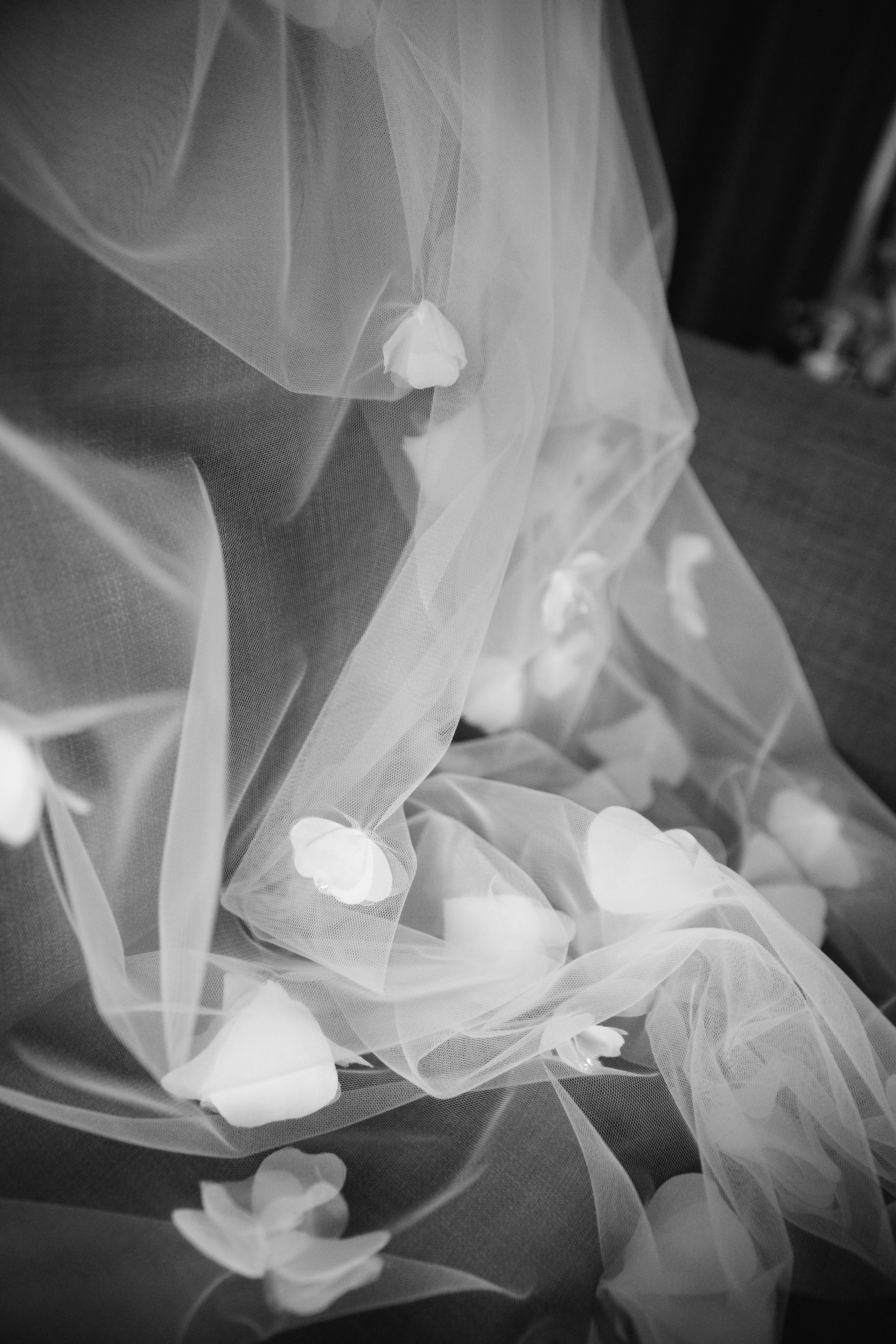 Анонс свадьба в Сочи Александр и Екатерина. Свадебный и семейный фотограф в Севастополе и Крыму Анастасия Сураева