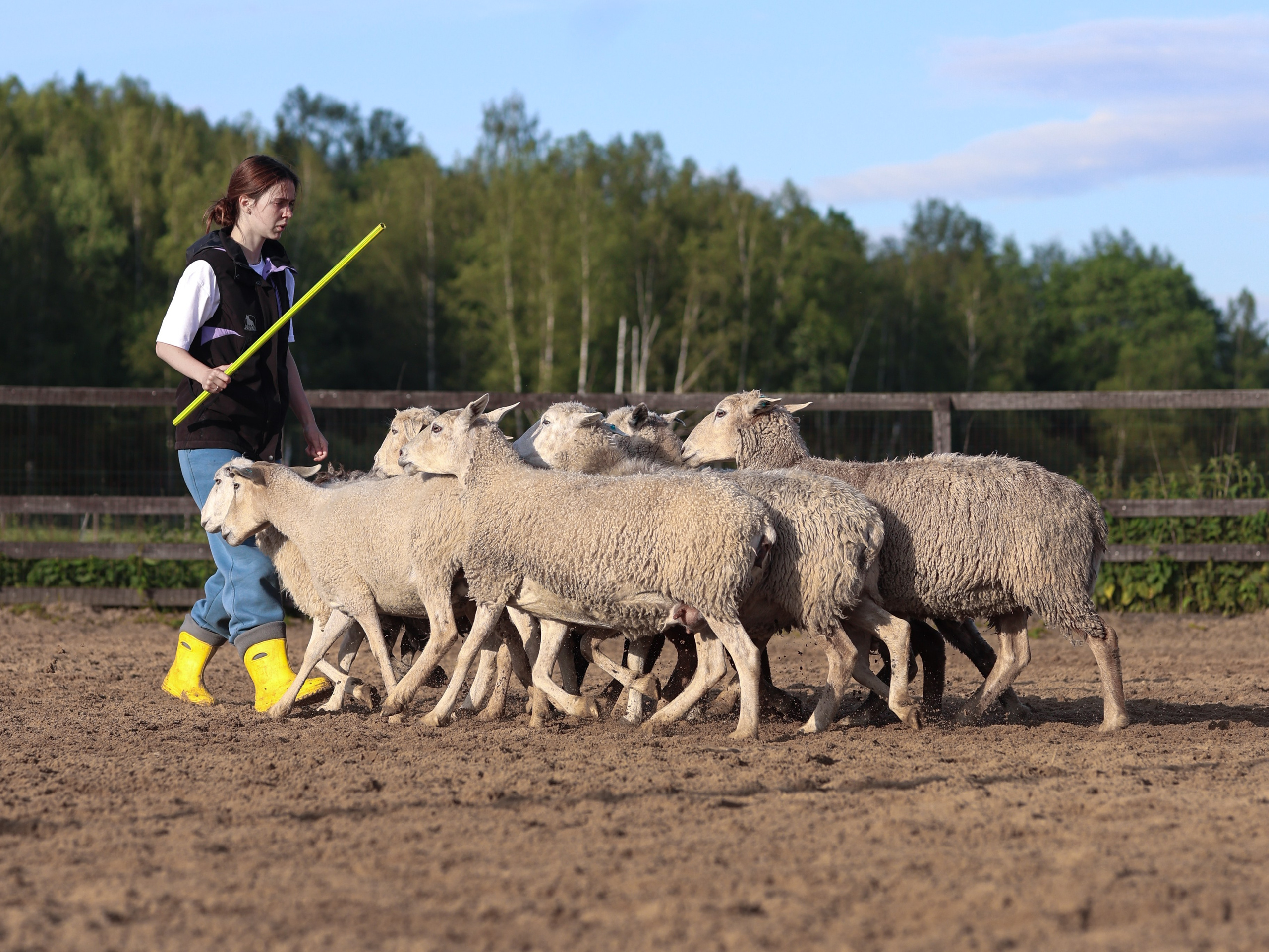 Пастьба. Фотограф-анималист в Москве Кириллова Татьяна