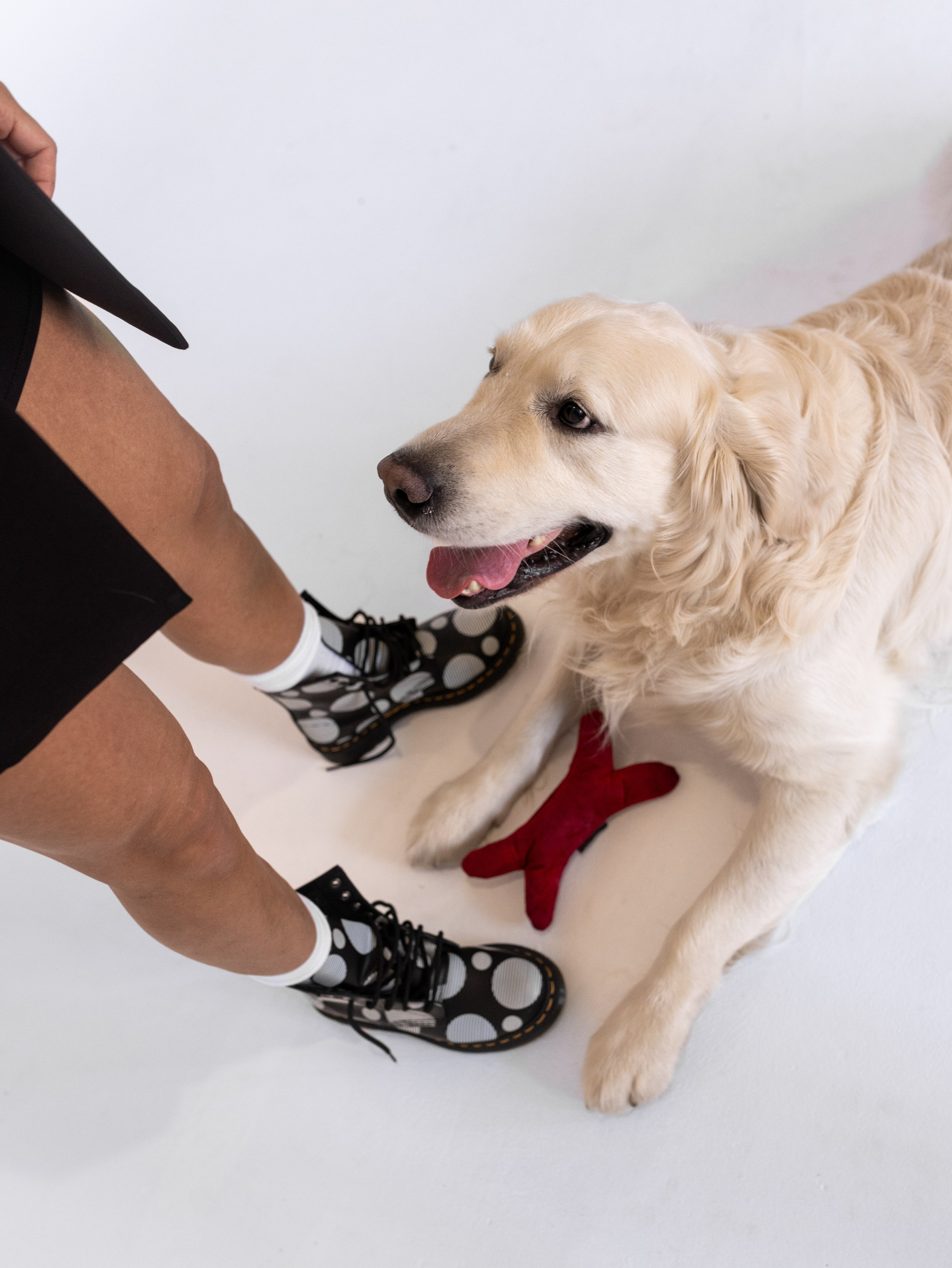 Энди и Настя. Фотограф-анималист в Москве Кириллова Татьяна