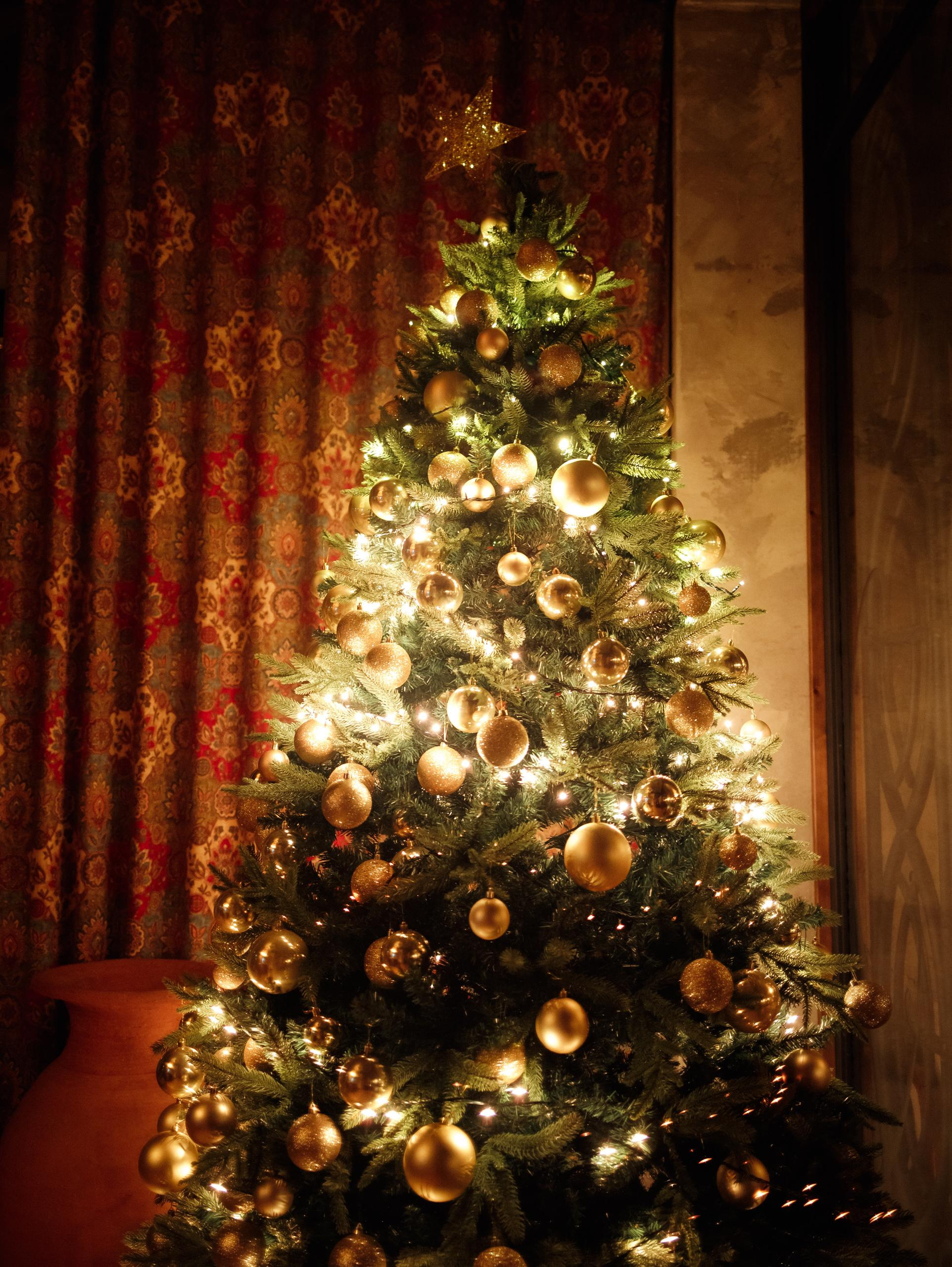 КАРАС [КОРПОРАТИВНЫЙ УИКЕНД 23-24.12]. СВОИ. ФОТООТЧЕТЫ-СОБЫТИЯ-МЕСТА