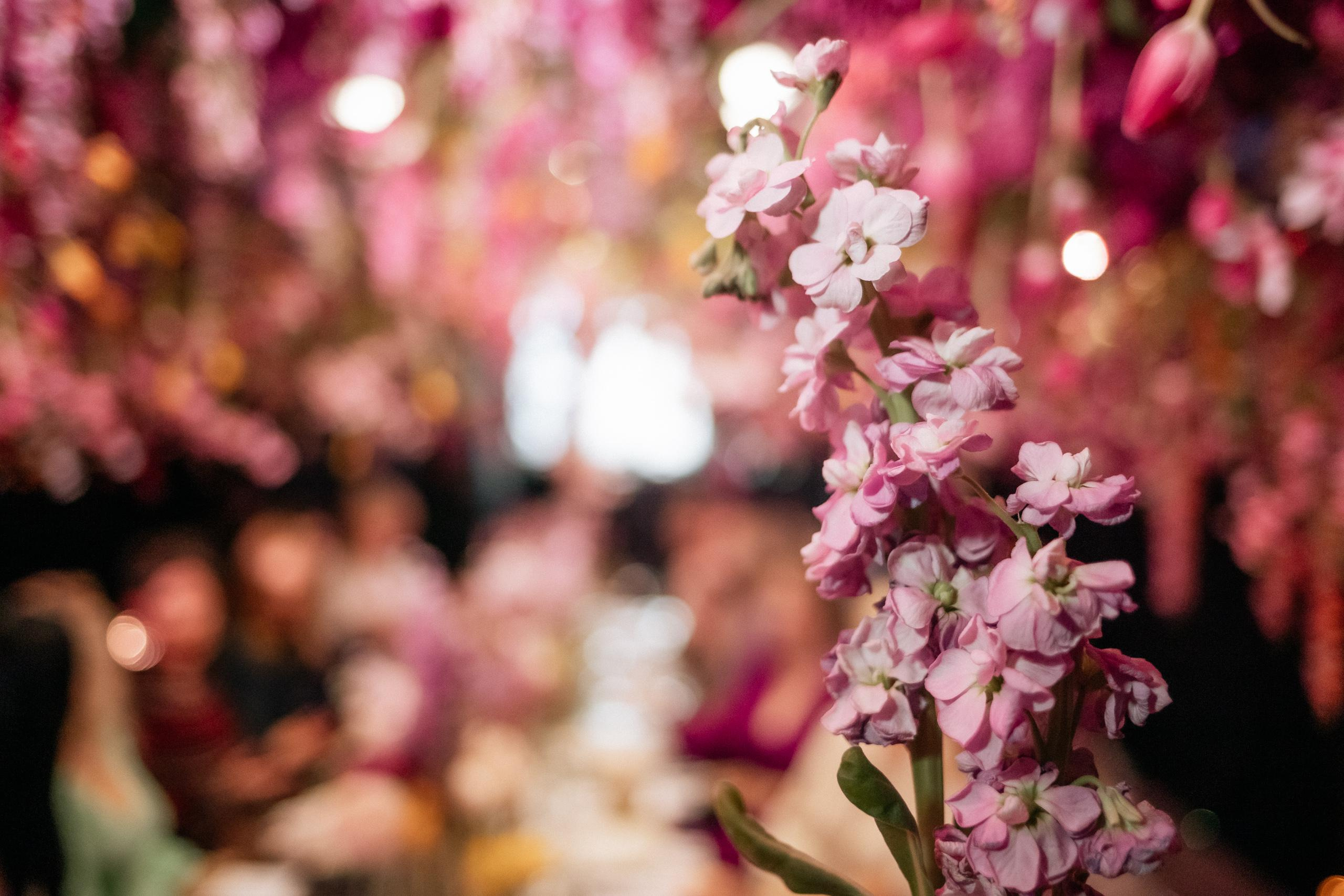 PROBIRKA21 [GIARDINO MAGICO]. СВОИ. ФОТООТЧЕТЫ-СОБЫТИЯ-МЕСТА