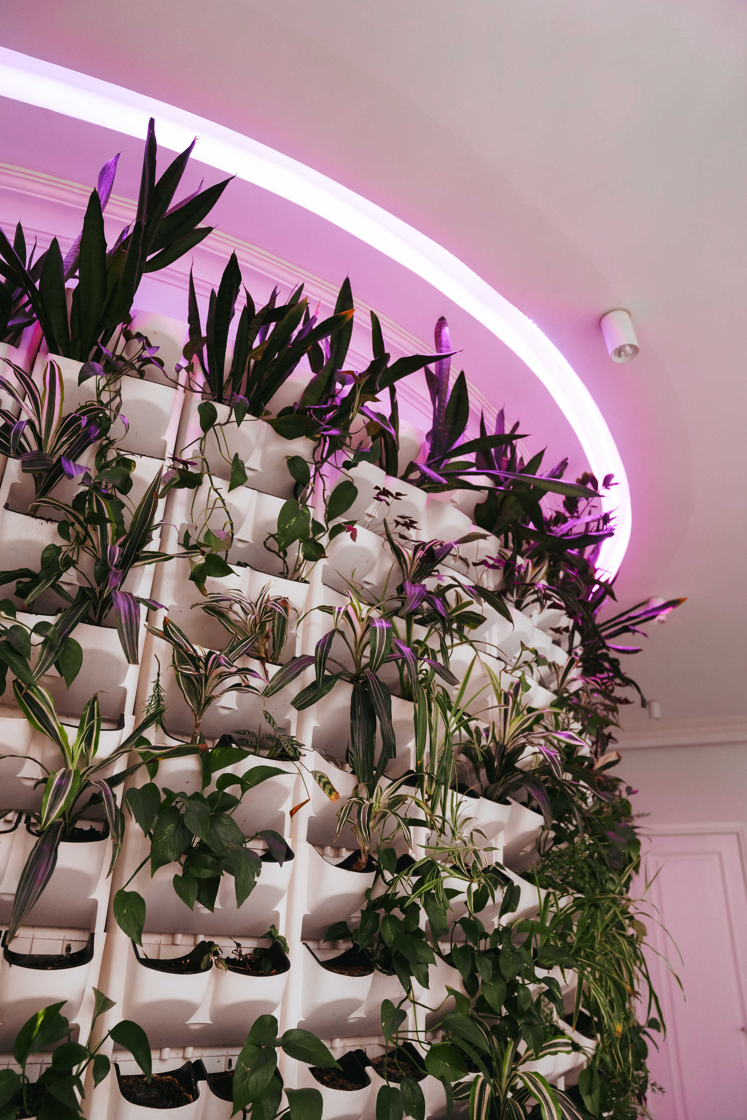 КАРАС [КОРПОРАТИВНЫЙ УИКЕНД 29-30.12]. СВОИ. ФОТООТЧЕТЫ-СОБЫТИЯ-МЕСТА