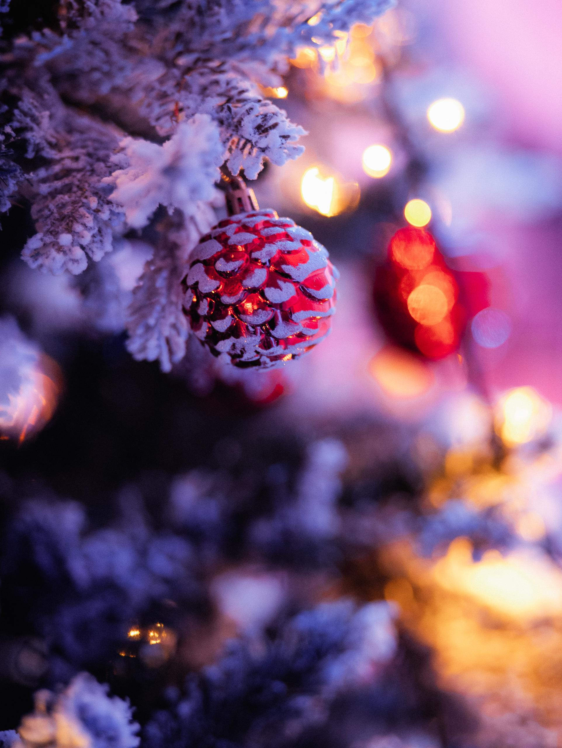 КАРАС [КОРПОРАТИВНЫЕ ВЕЧЕРА]. СВОИ. ФОТООТЧЕТЫ-СОБЫТИЯ-МЕСТА