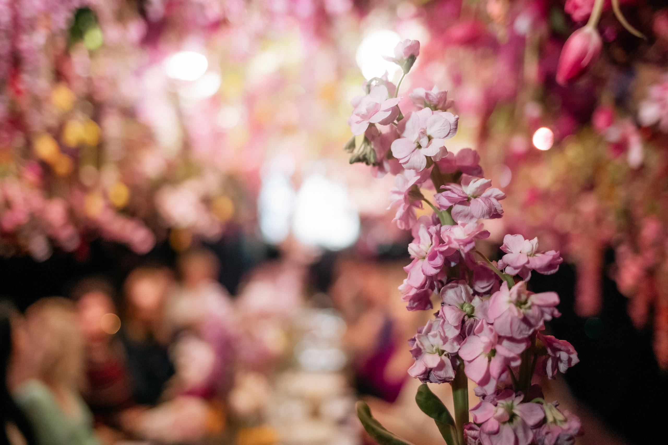 PROBIRKA21 [GIARDINO MAGICO]. СВОИ. ФОТООТЧЕТЫ-СОБЫТИЯ-МЕСТА