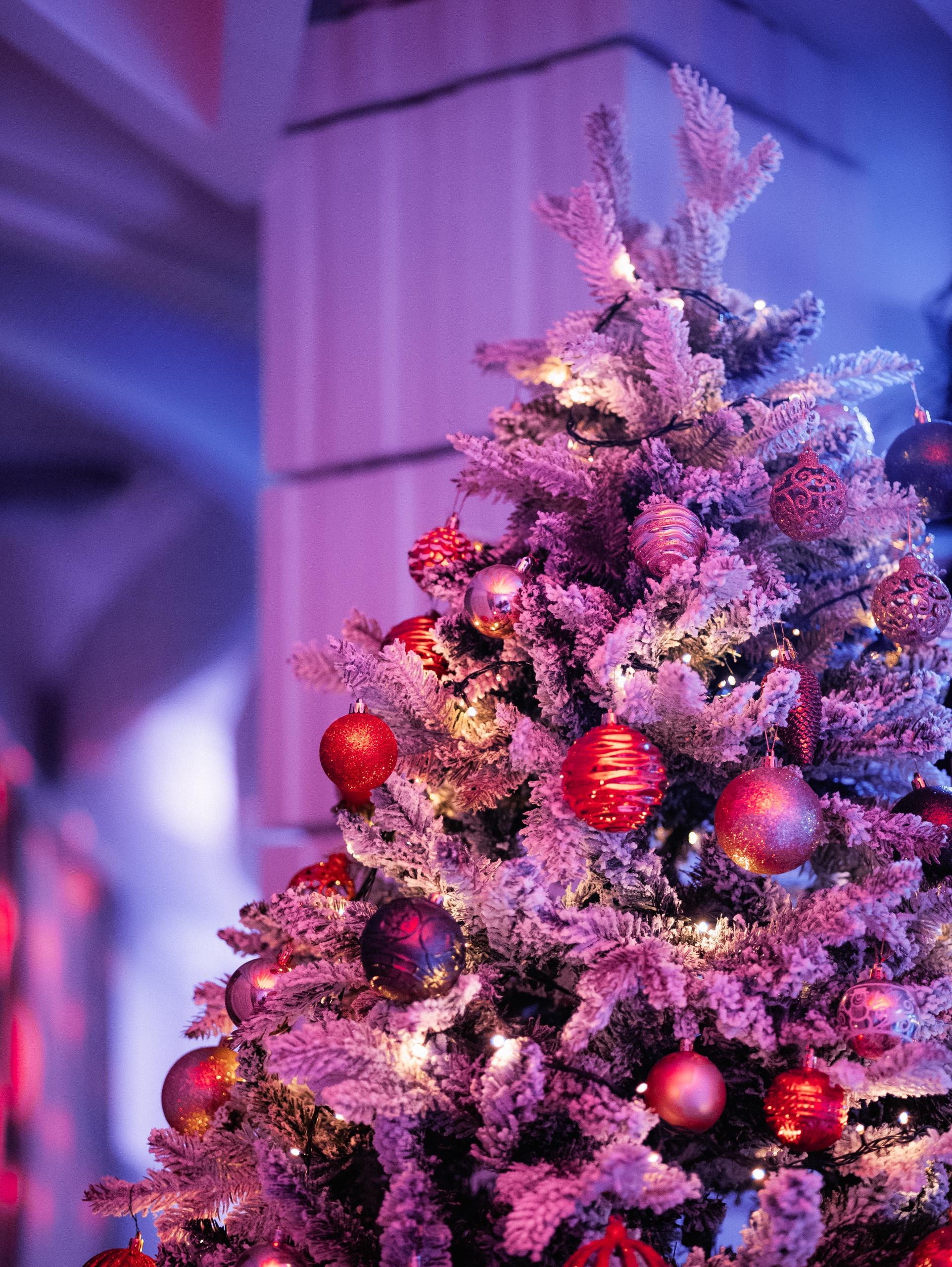 КАРАС [КОРПОРАТИВНЫЕ ВЕЧЕРА]. СВОИ. ФОТООТЧЕТЫ-СОБЫТИЯ-МЕСТА