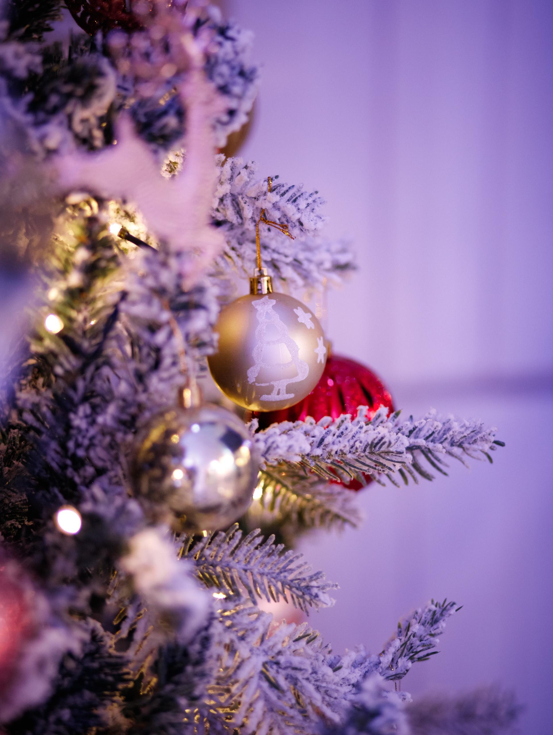 КАРАС [КОРПОРАТИВНЫЙ УИКЕНД 23-24.12]. СВОИ. ФОТООТЧЕТЫ-СОБЫТИЯ-МЕСТА