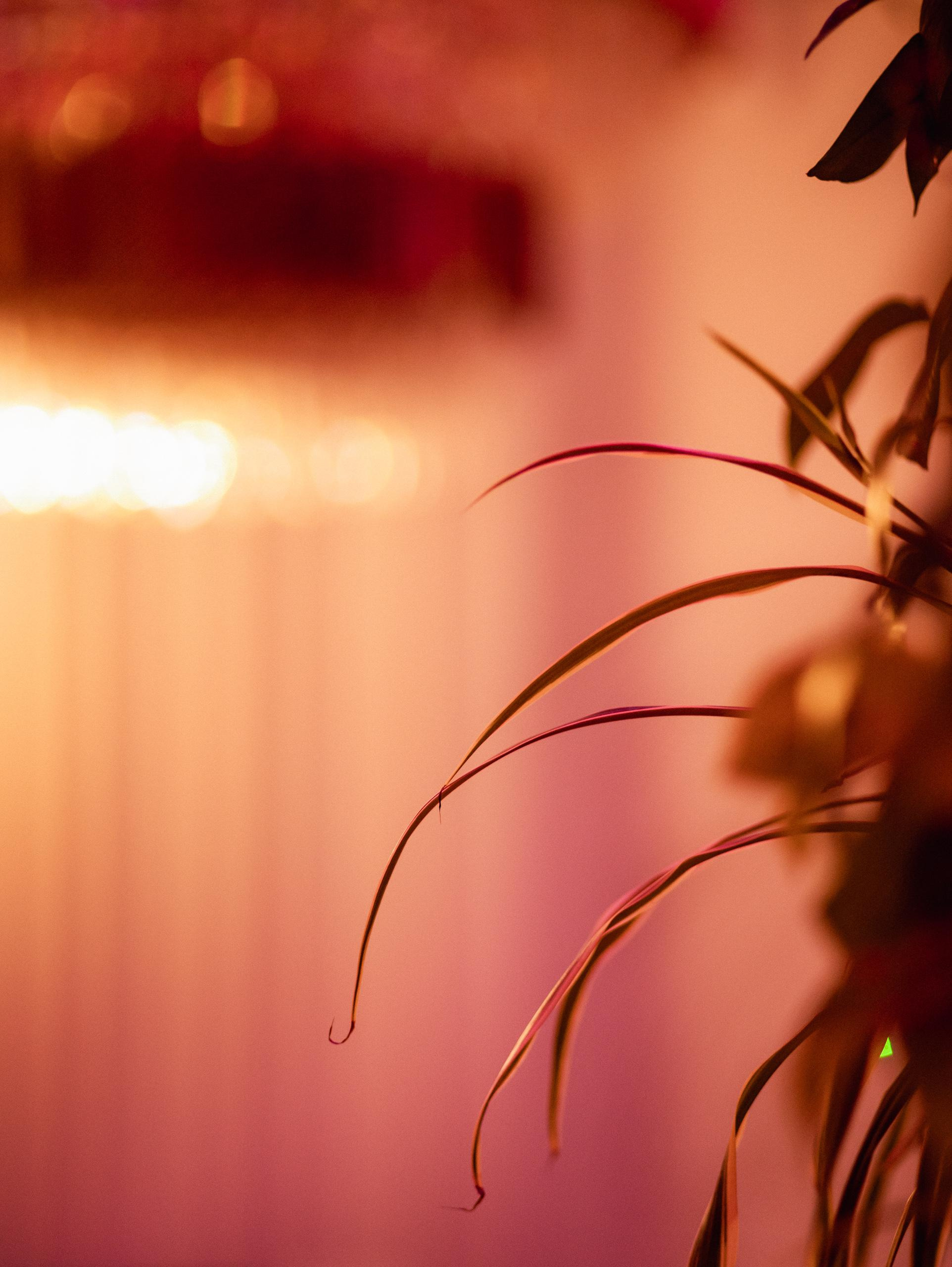 КАРАС [КОРПОРАТИВНЫЕ ВЕЧЕРА]. СВОИ. ФОТООТЧЕТЫ-СОБЫТИЯ-МЕСТА