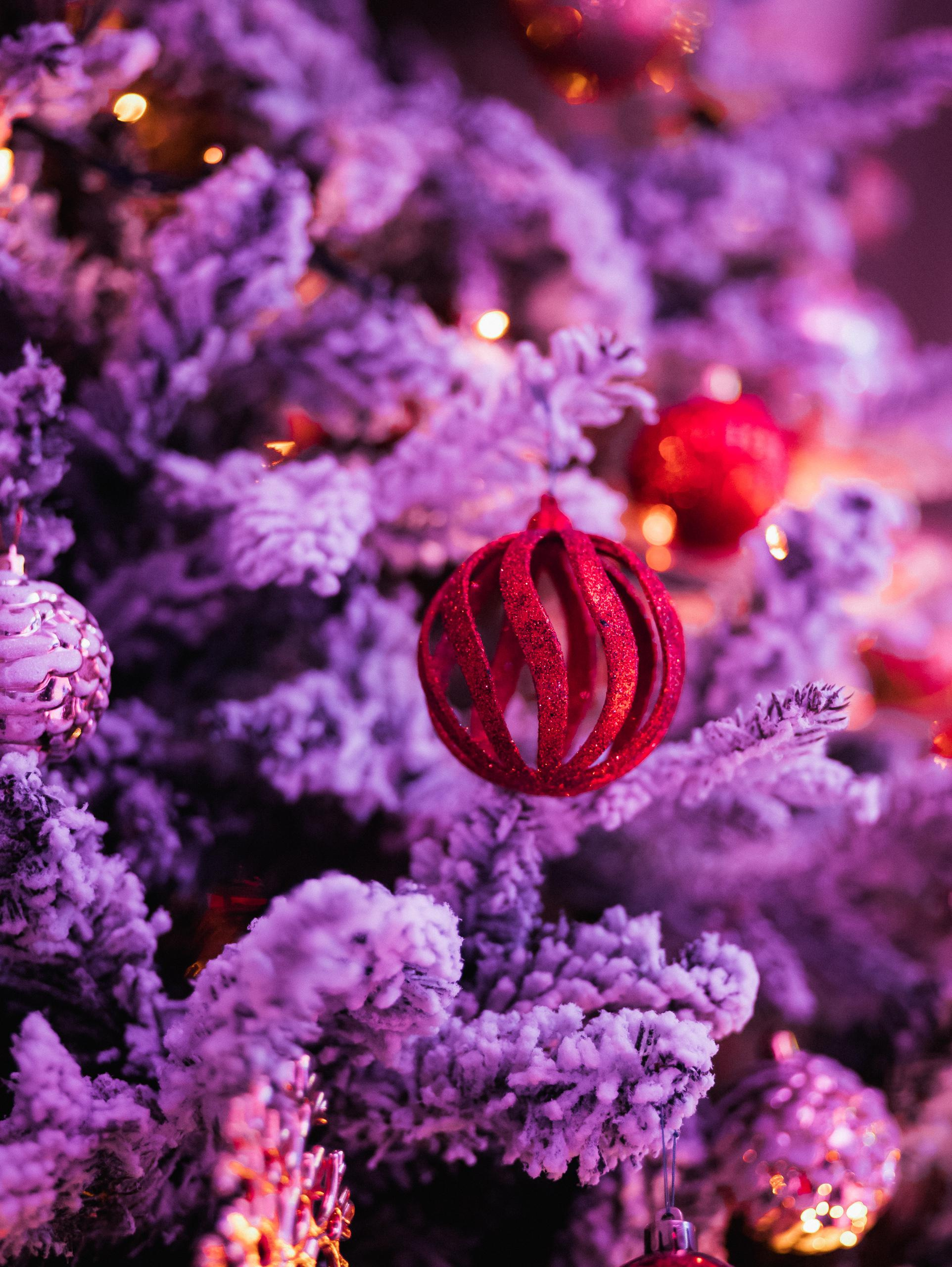 КАРАС [КОРПОРАТИВНЫЙ УИКЕНД 29-30.12]. СВОИ. ФОТООТЧЕТЫ-СОБЫТИЯ-МЕСТА