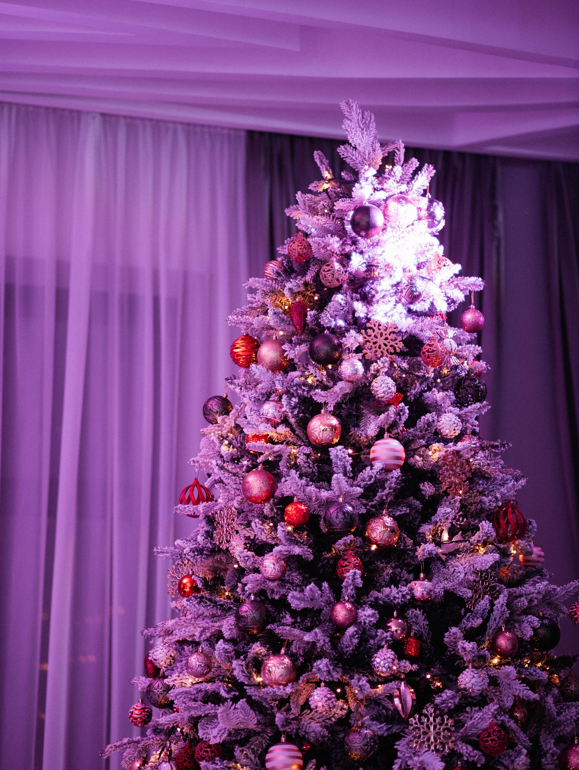 КАРАС [КОРПОРАТИВНЫЕ ВЕЧЕРА]. СВОИ. ФОТООТЧЕТЫ-СОБЫТИЯ-МЕСТА