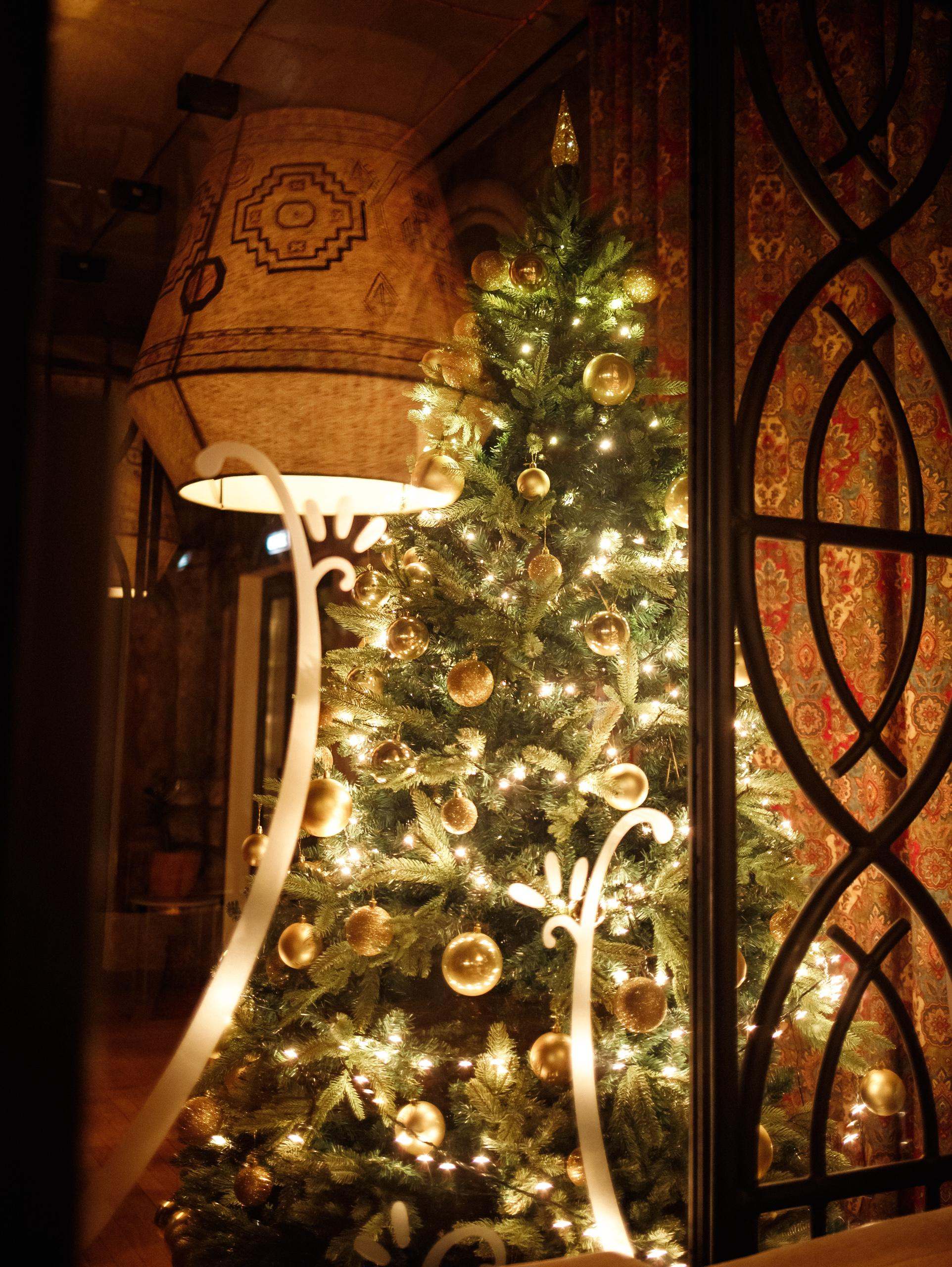 КАРАС [КОРПОРАТИВНЫЙ УИКЕНД 23-24.12]. СВОИ. ФОТООТЧЕТЫ-СОБЫТИЯ-МЕСТА