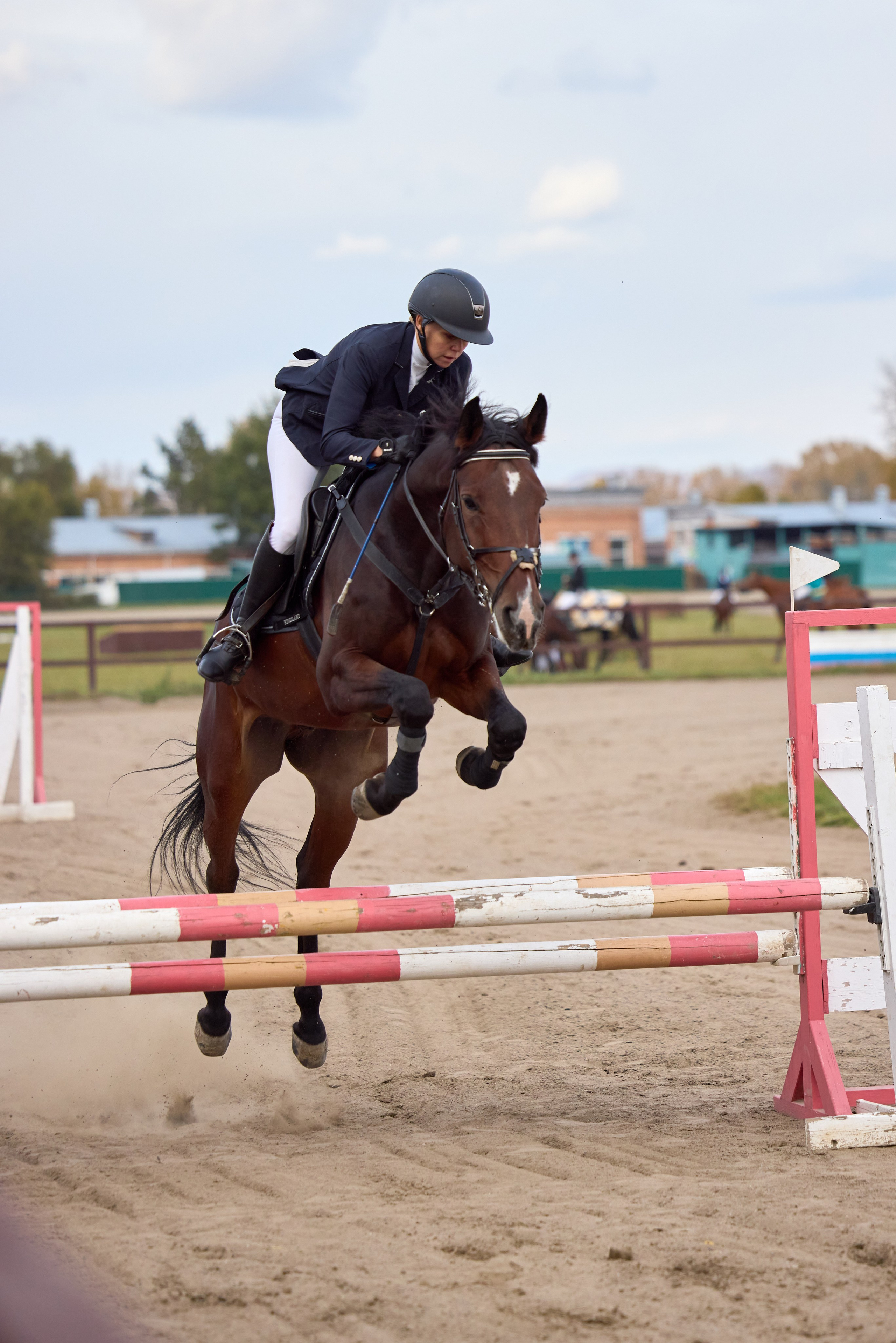 Конкур на Абаканском ипподроме. Ваши Истории. Фотограф/видеограф. Абакан