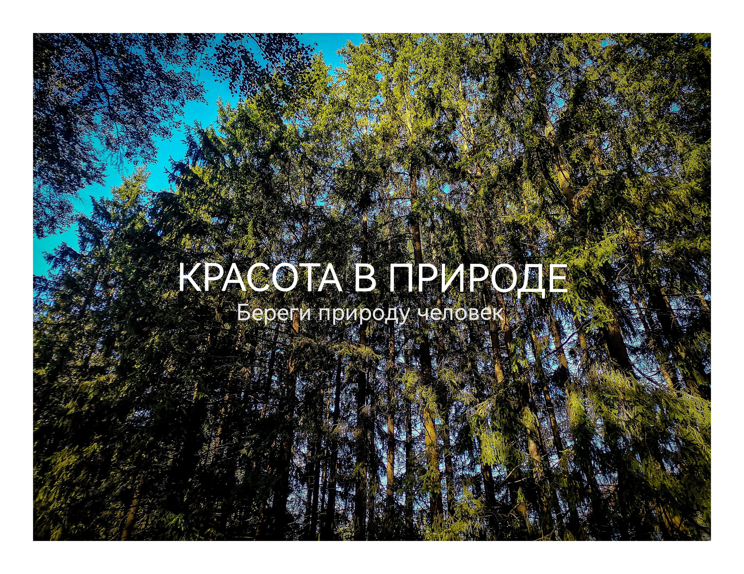 Фотосъемка мероприятий в Москве. Предметная съемка в Москве. Фотограф — Вячеслав Иванов