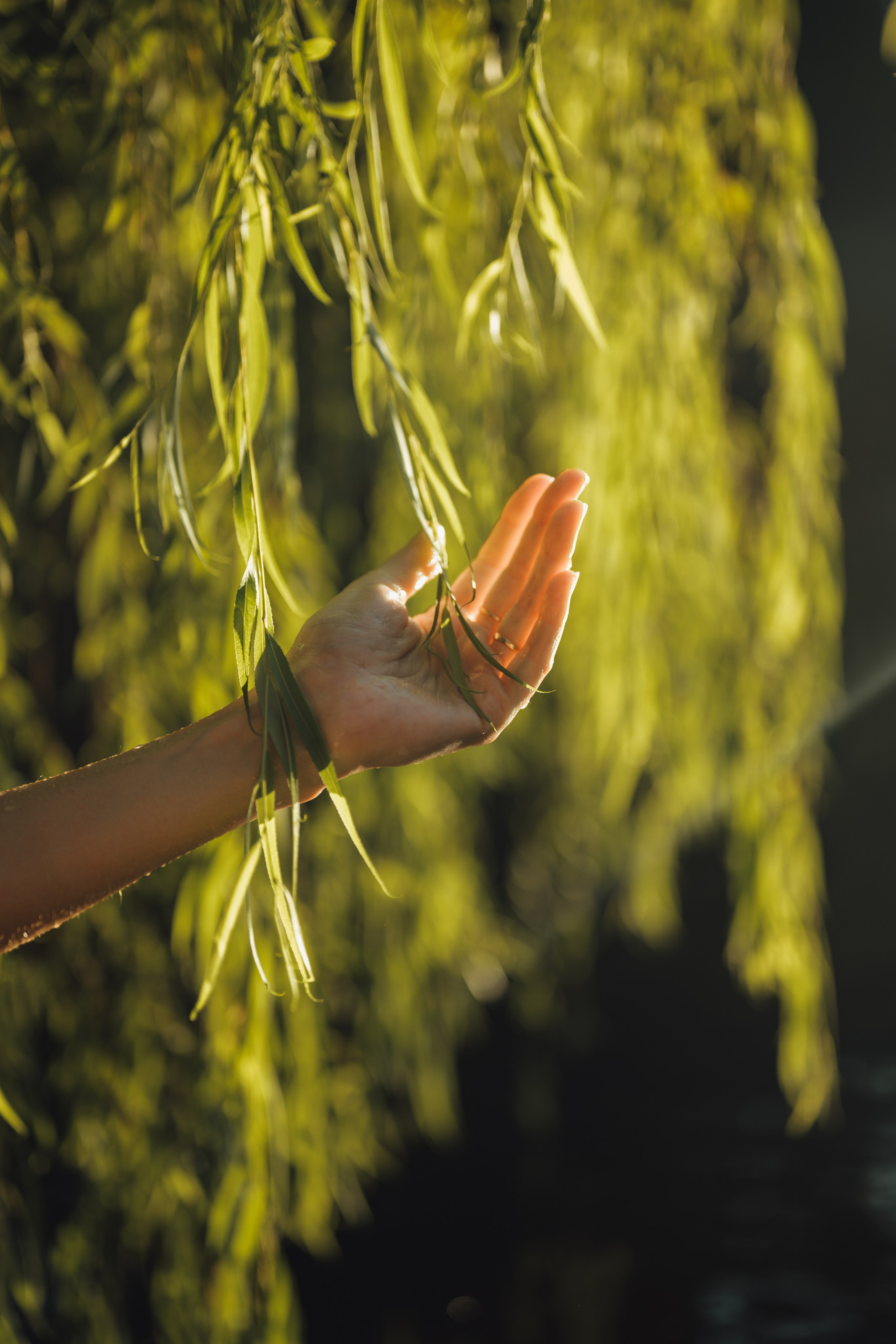Виктория. Мария Кобзева, фотограф в Ялте, Крым