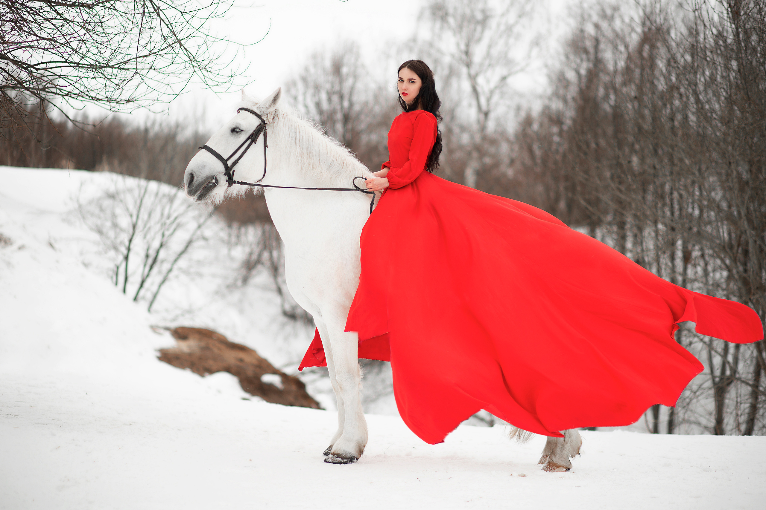 Светлана и Воробей. Фотосессия с лошадьми в Нижнем Новгороде