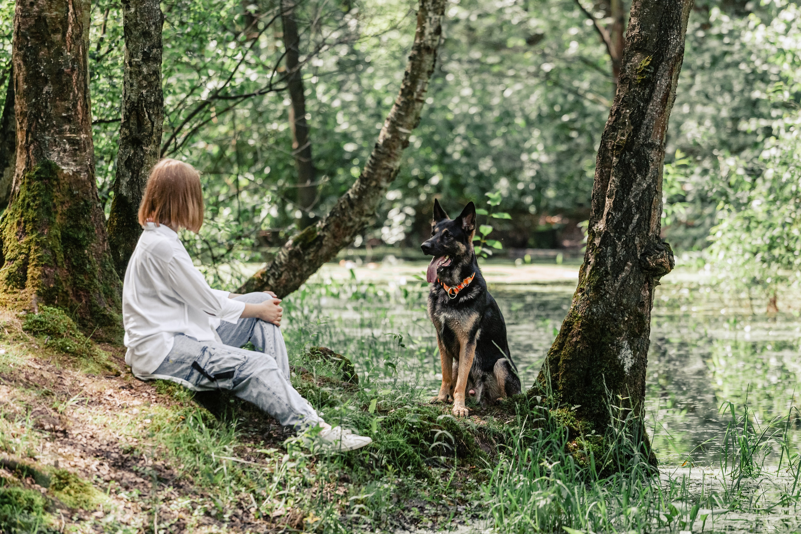 Лесная летняя фотопрогулка. Фотограф-анималист Татьяна Степанова