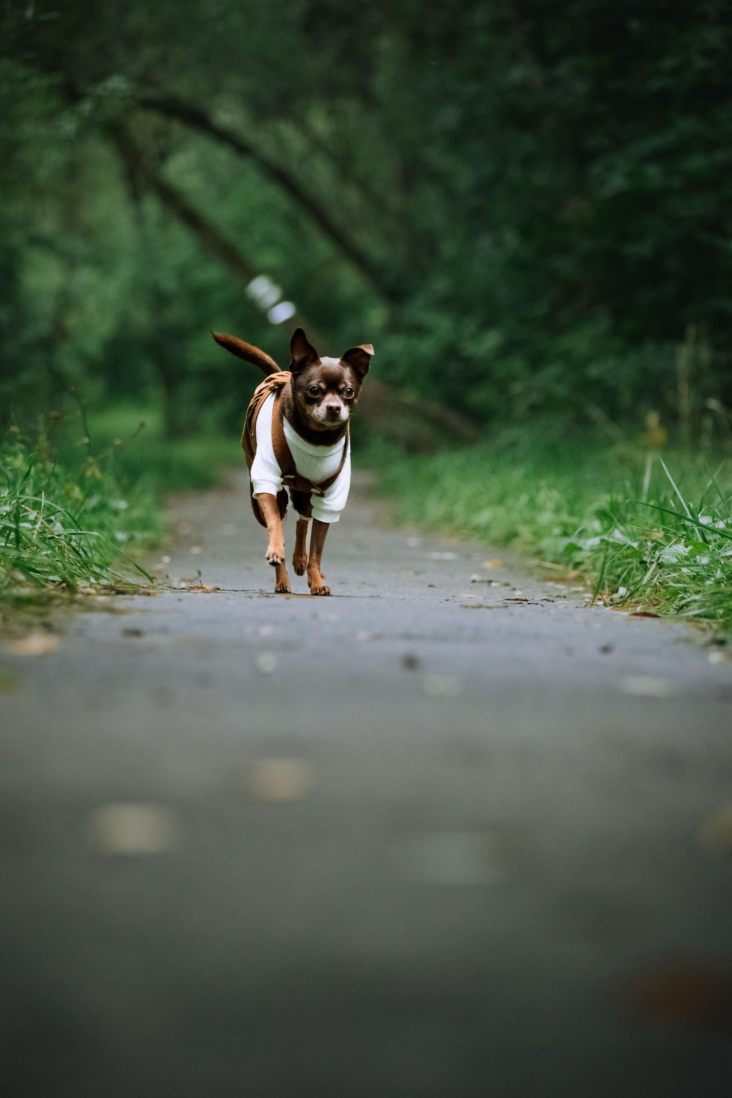 Юля и Леонид. Фотограф-анималист Татьяна Степанова
