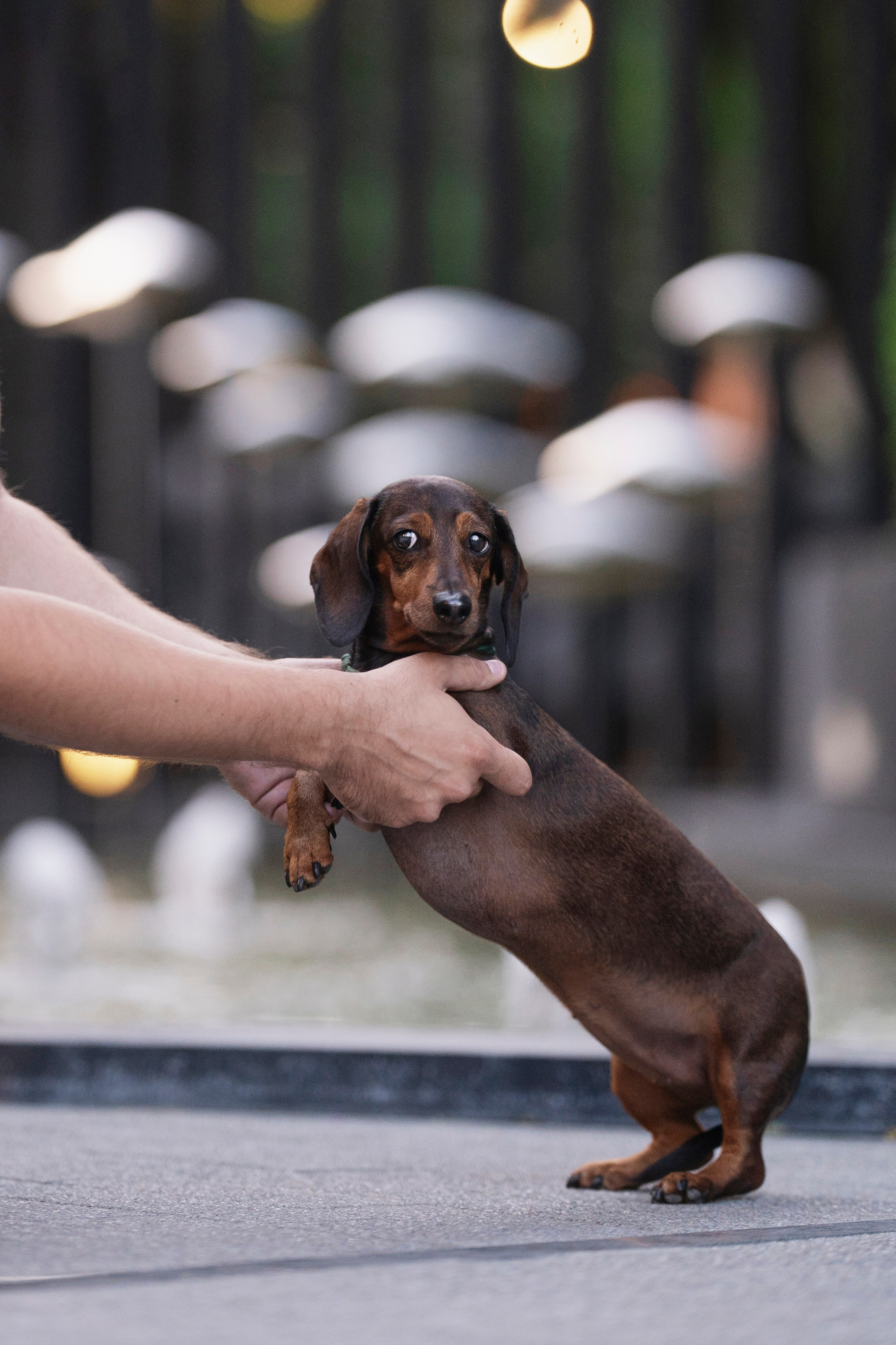 Алексей, Гага и рассвет. Kameramotor74