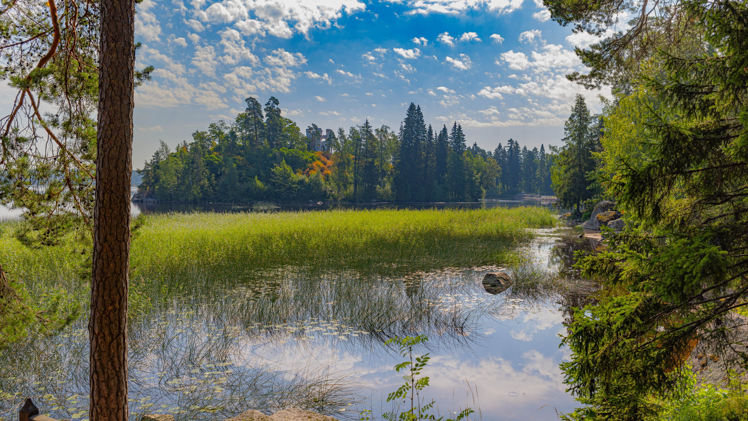 2025 07 Выборг — Сортавала — Великий Новгород — Псков. Фотографии