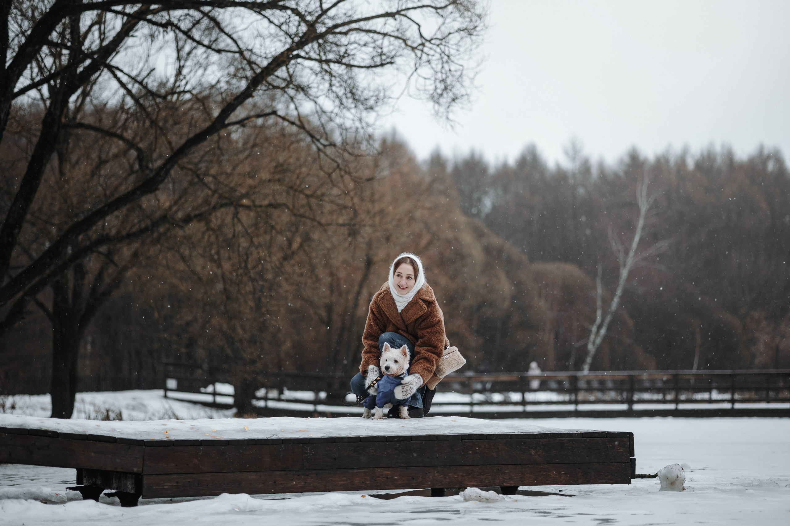 Шелби, Ватсон и ребята. Фотограф — Анималист | Санкт-Петербург
