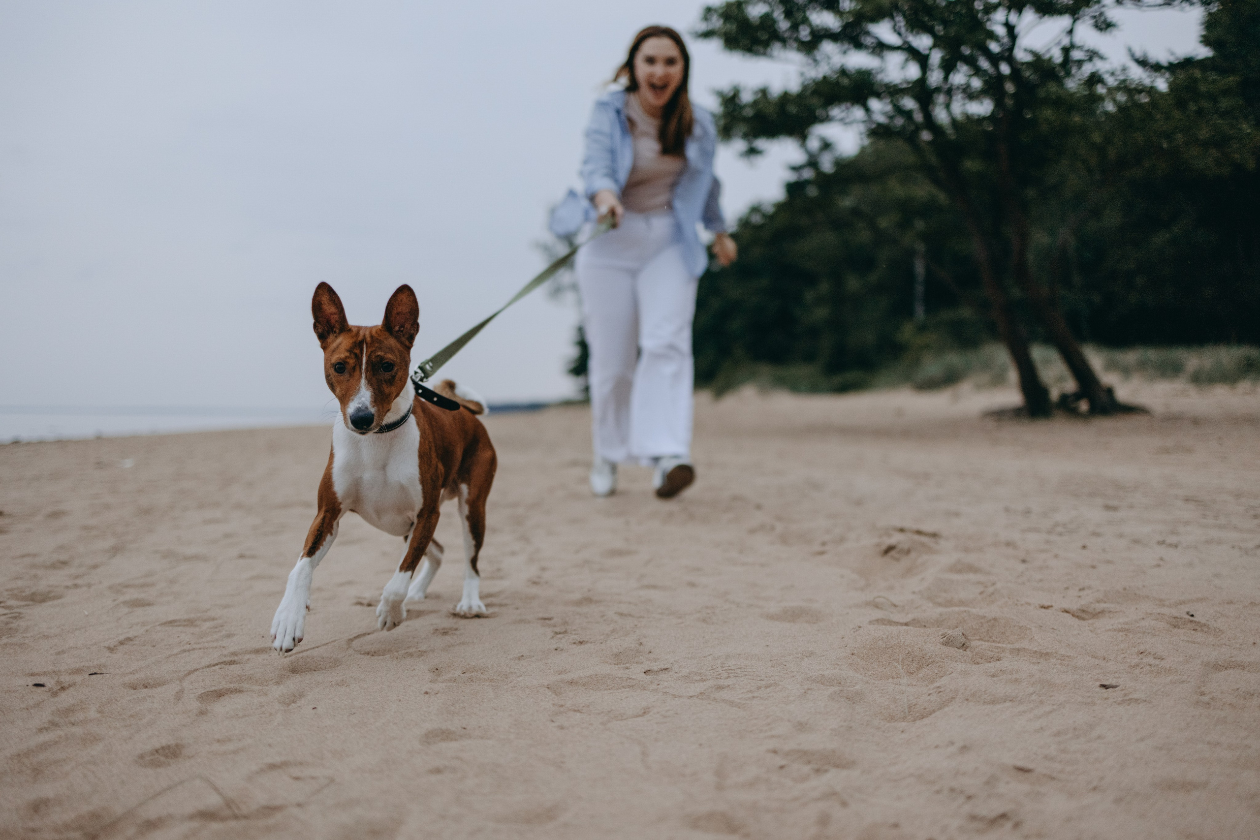Даша и Арчи. Фотограф — Анималист | Санкт-Петербург
