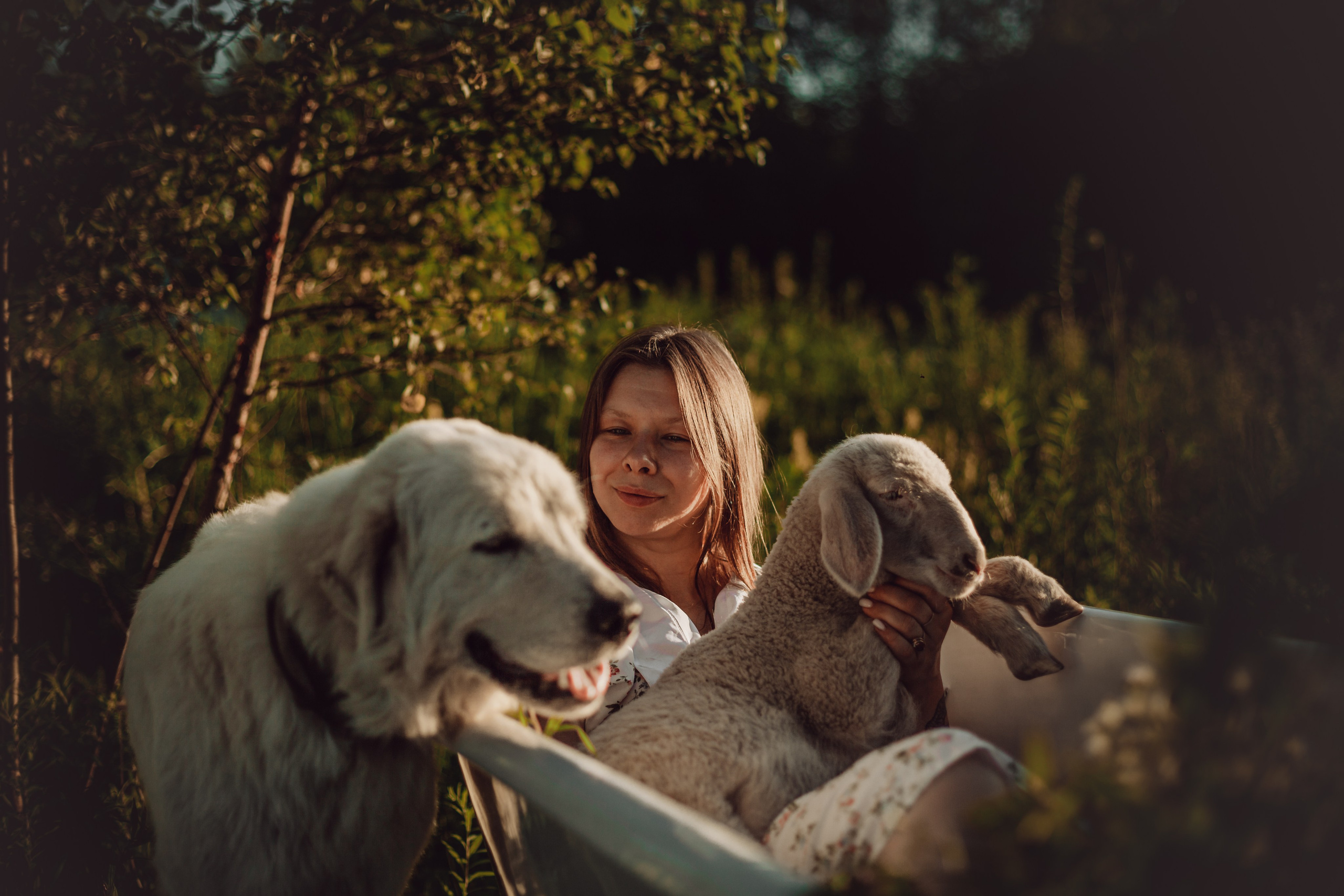 Ванна в поле. Фотограф-анималист Татьяна Степанова