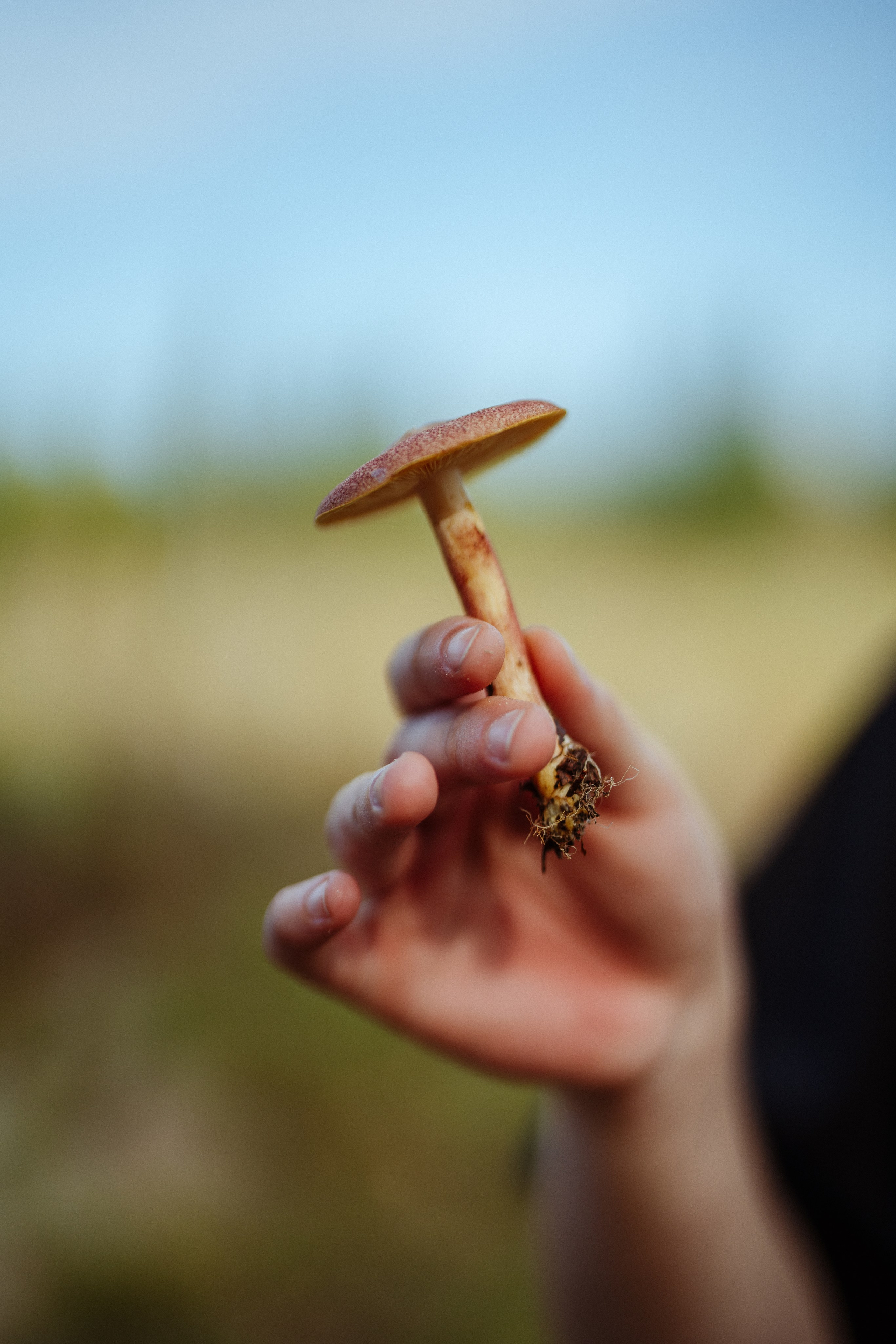 СБЕР · ЭКА · Посадка сеянцев. Владимир Вершинин, тот самый свадебный видеограф