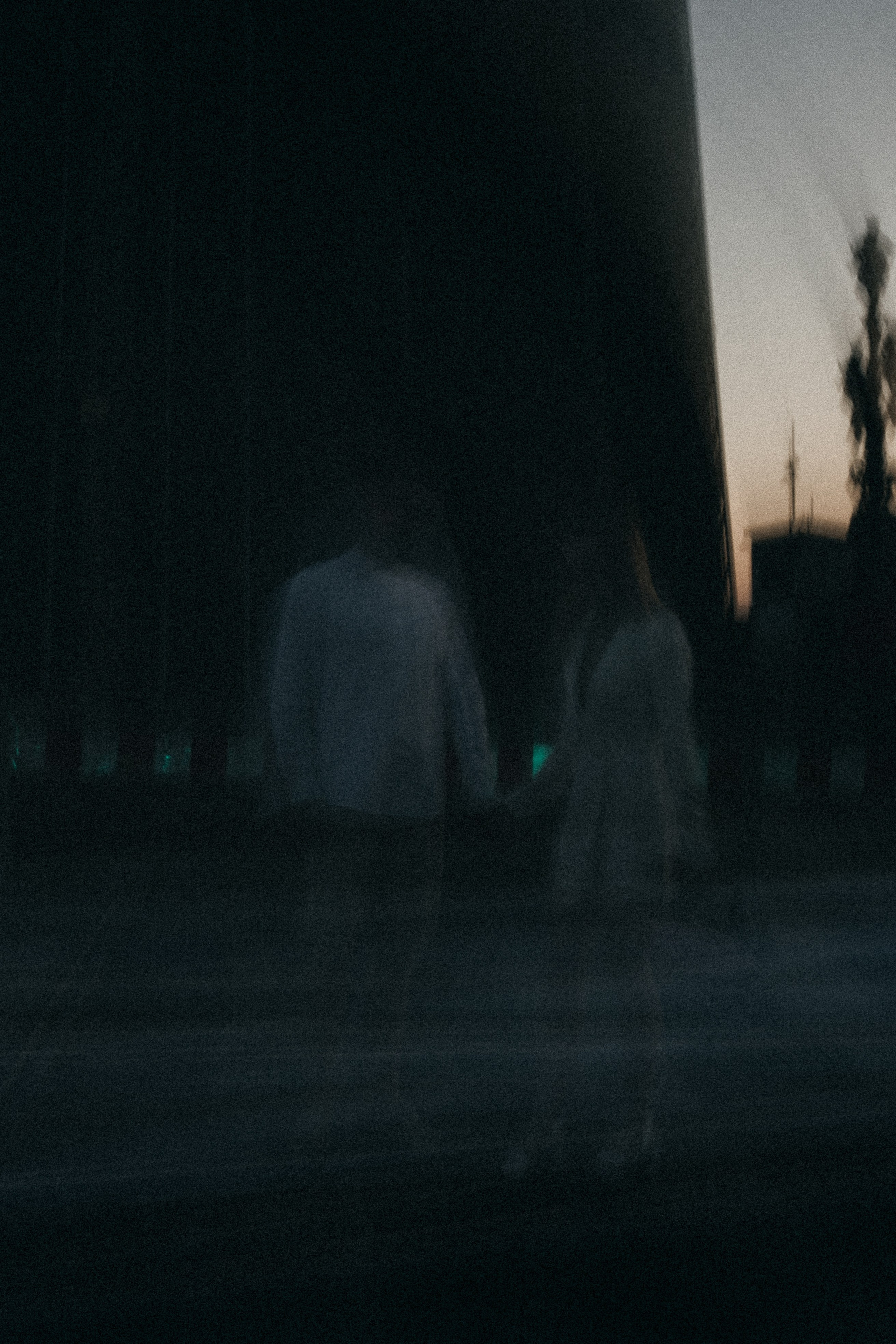 Сьемка мечты. Профессиональный фотограф, Санкт-Петербург — Виктория Богомолова