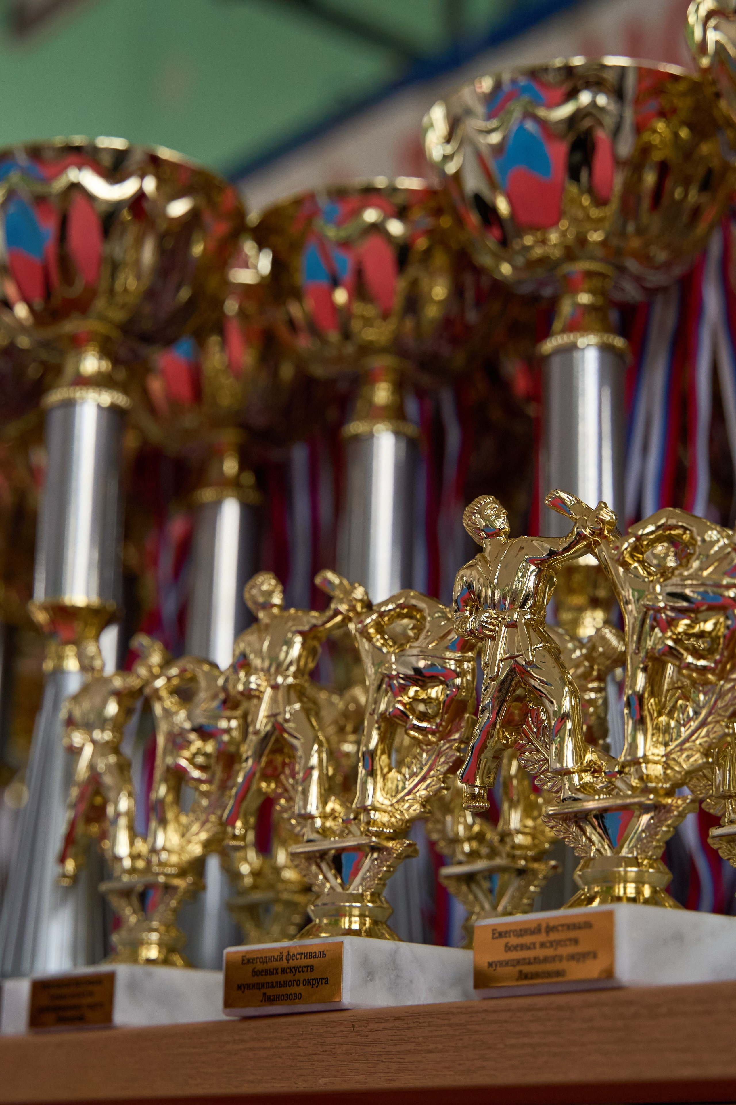 Фестиваль Восточных Единоборств 2024. Гасанова Любовь фотограф в Москве