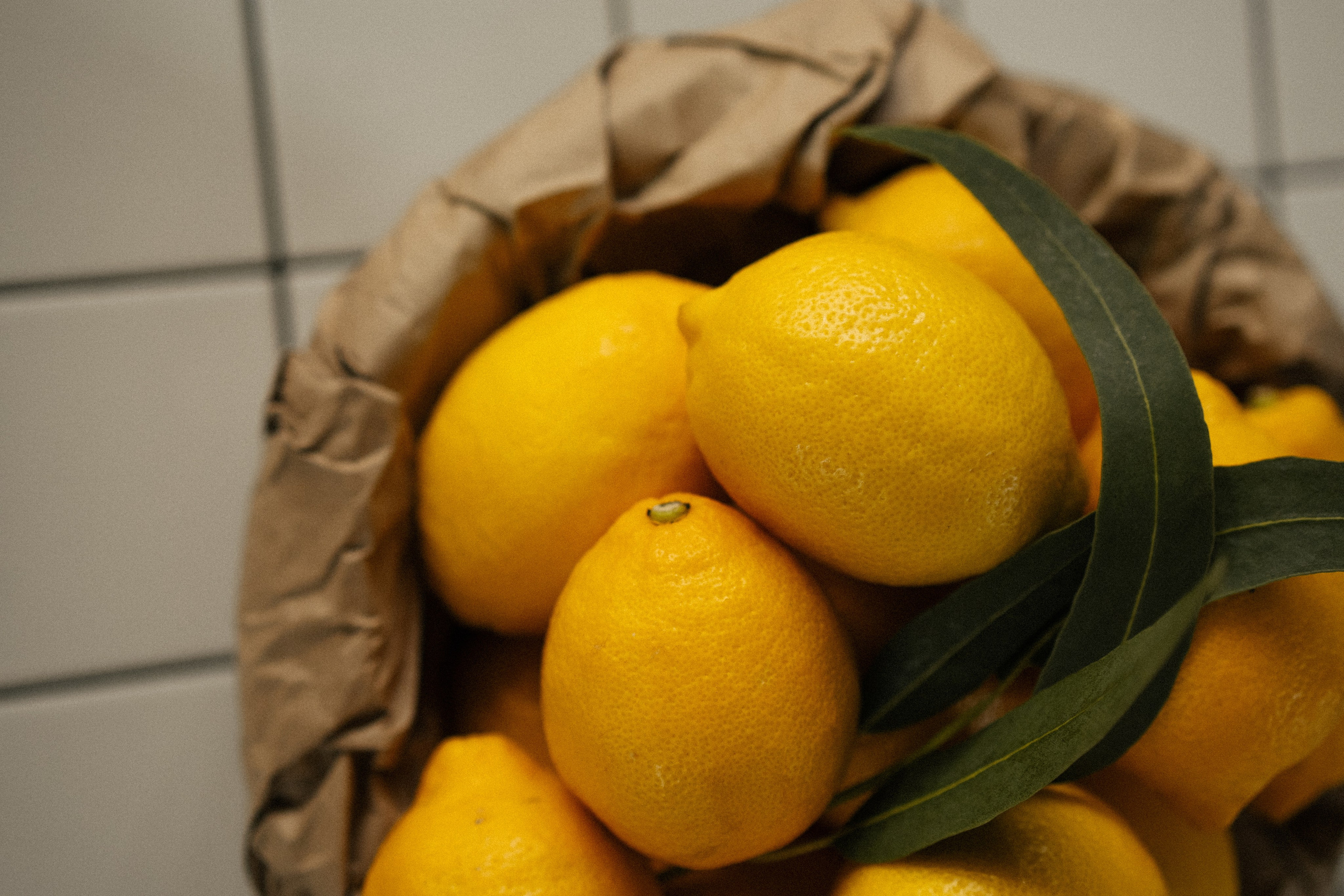 Кирилл и Аида. Свадебный фотограф Москва Степановский Александр