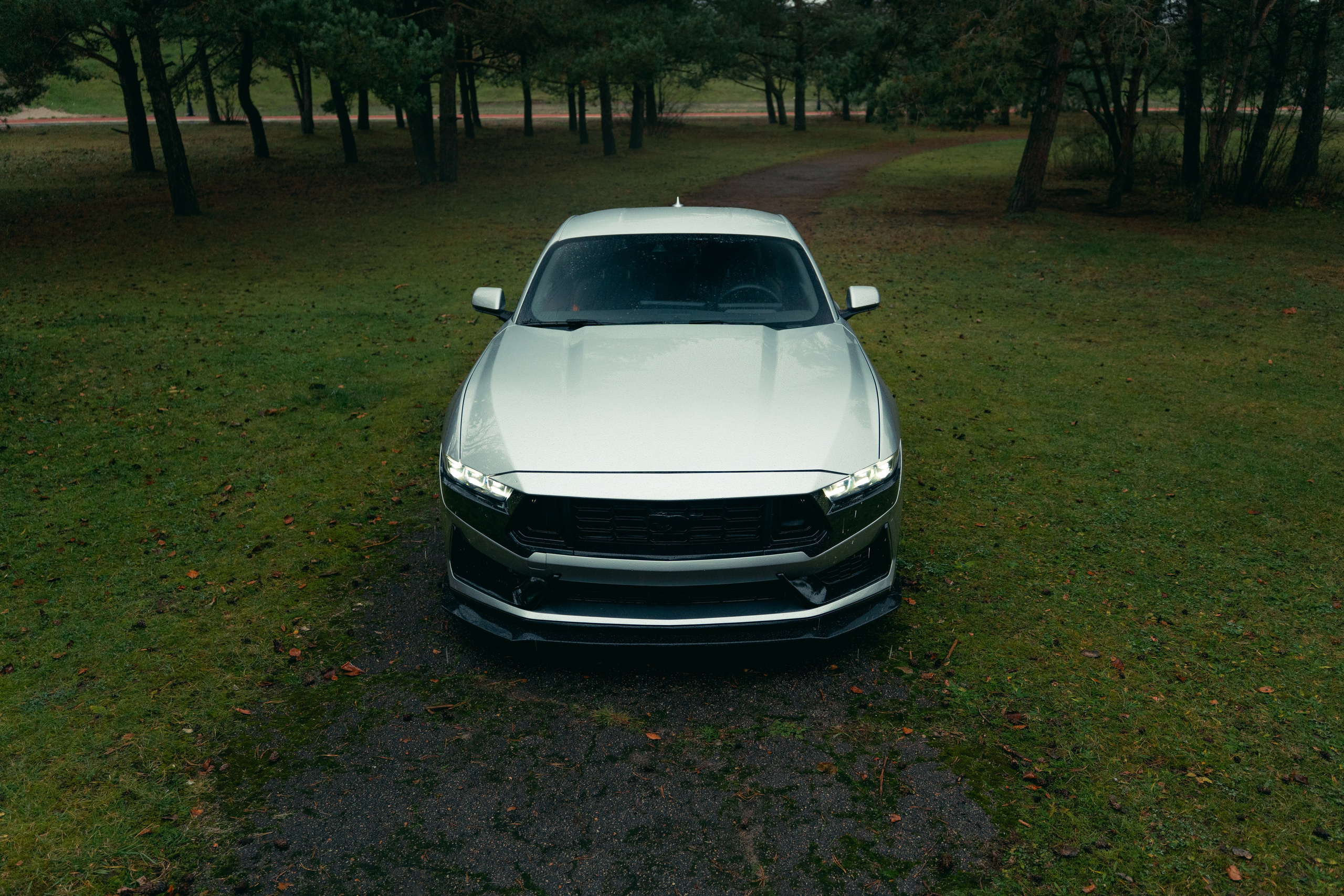 Фотографии Ford Mustang