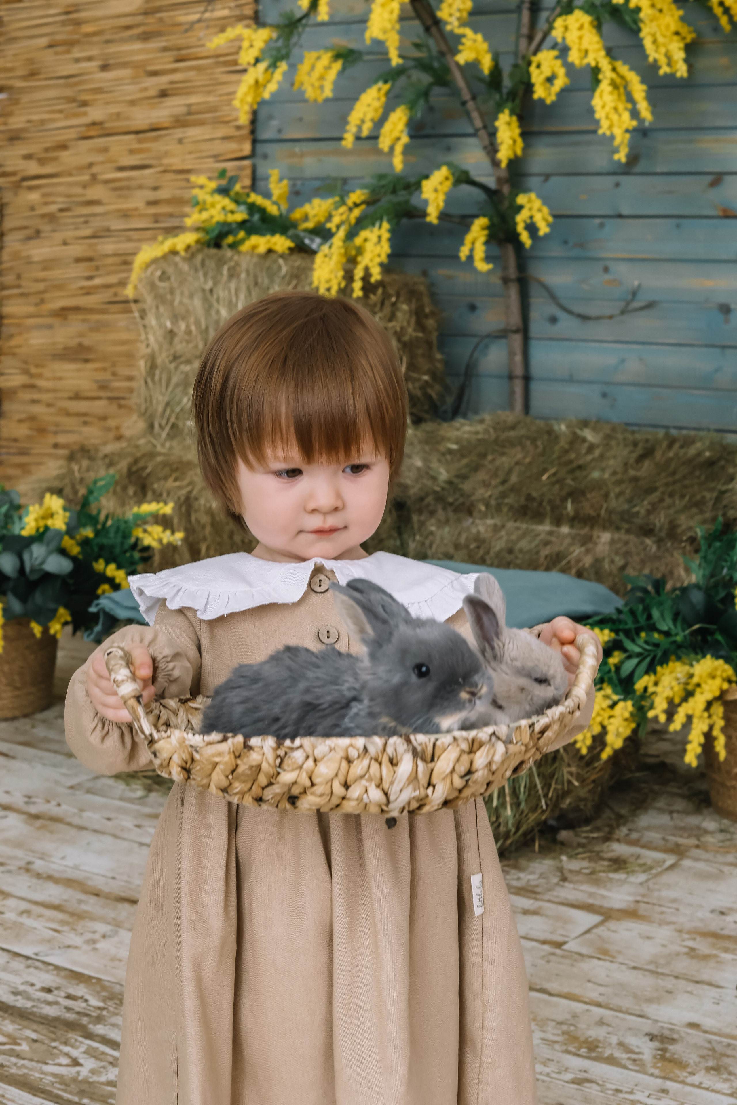 Утята. Фотограф и видеограф Анна Домашенко