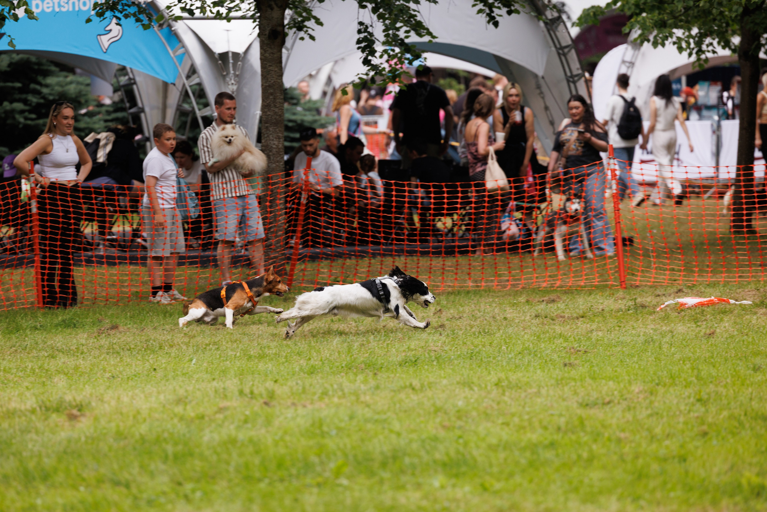 PetShopDays2026. Фотограф Александр Заломаев